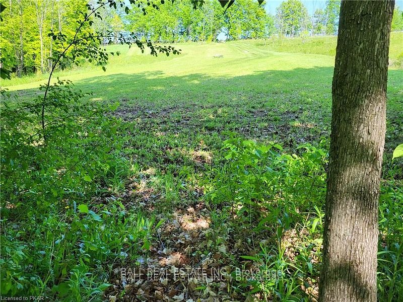 81 Silver Heights Drive Property Photo 22