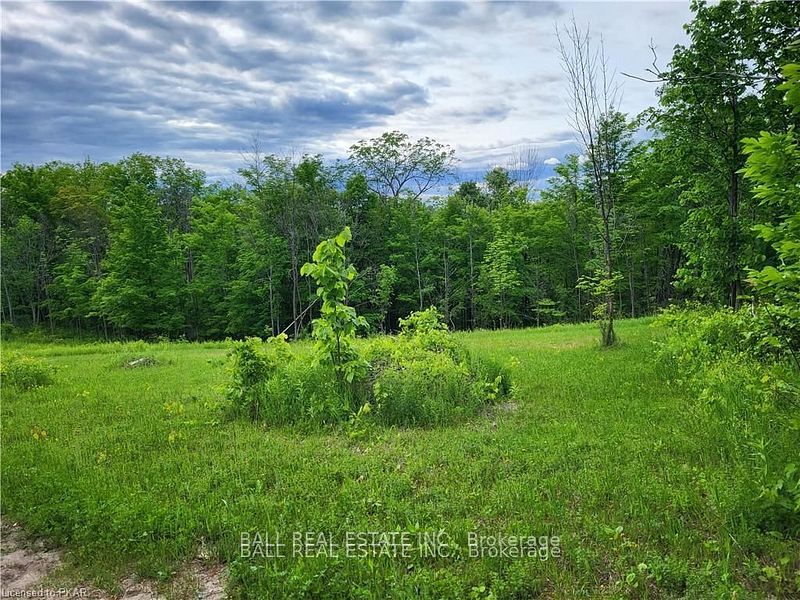 81 Silver Heights Drive Property Photo 23