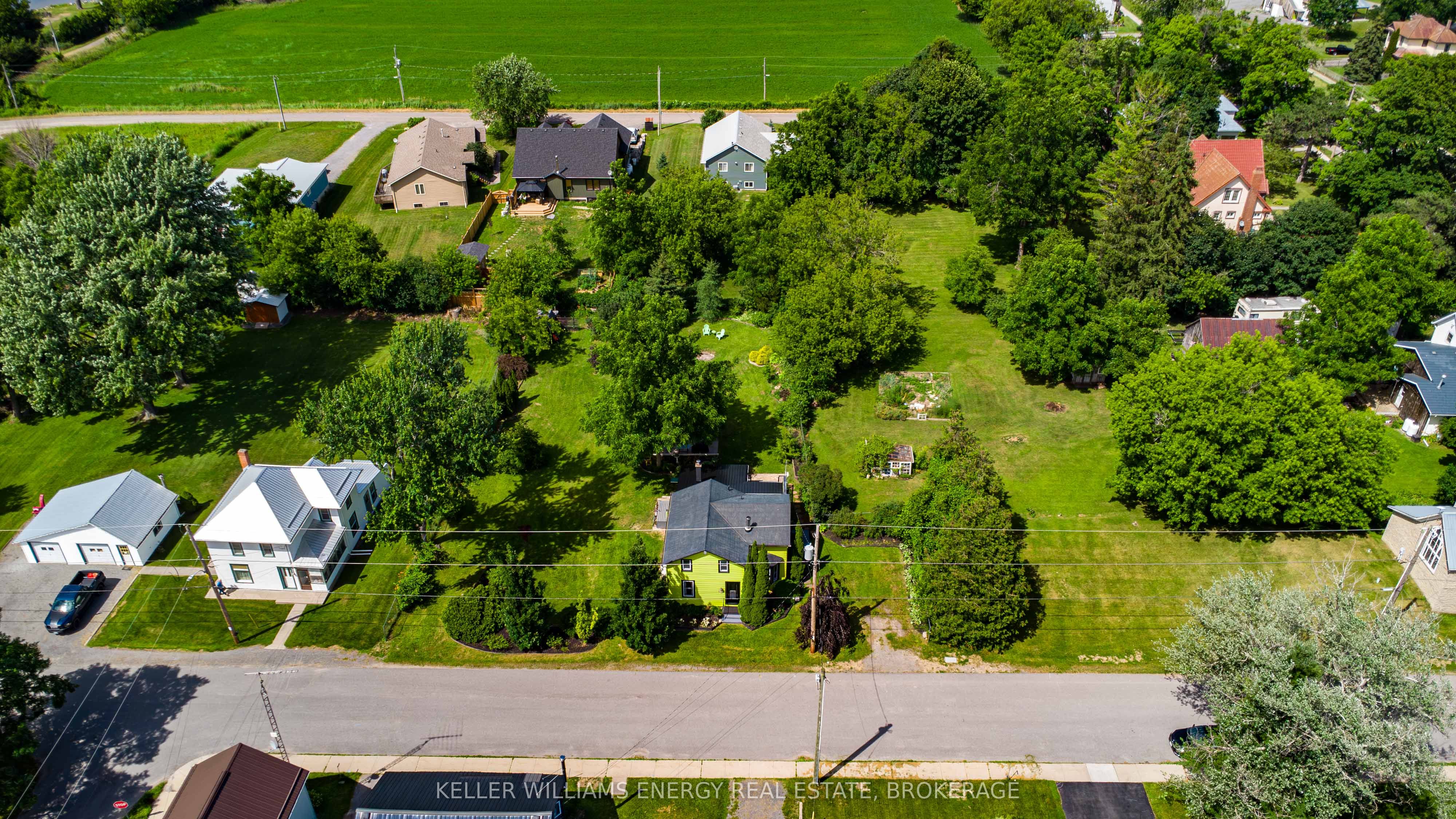 16 Squires Street Property Photo 41