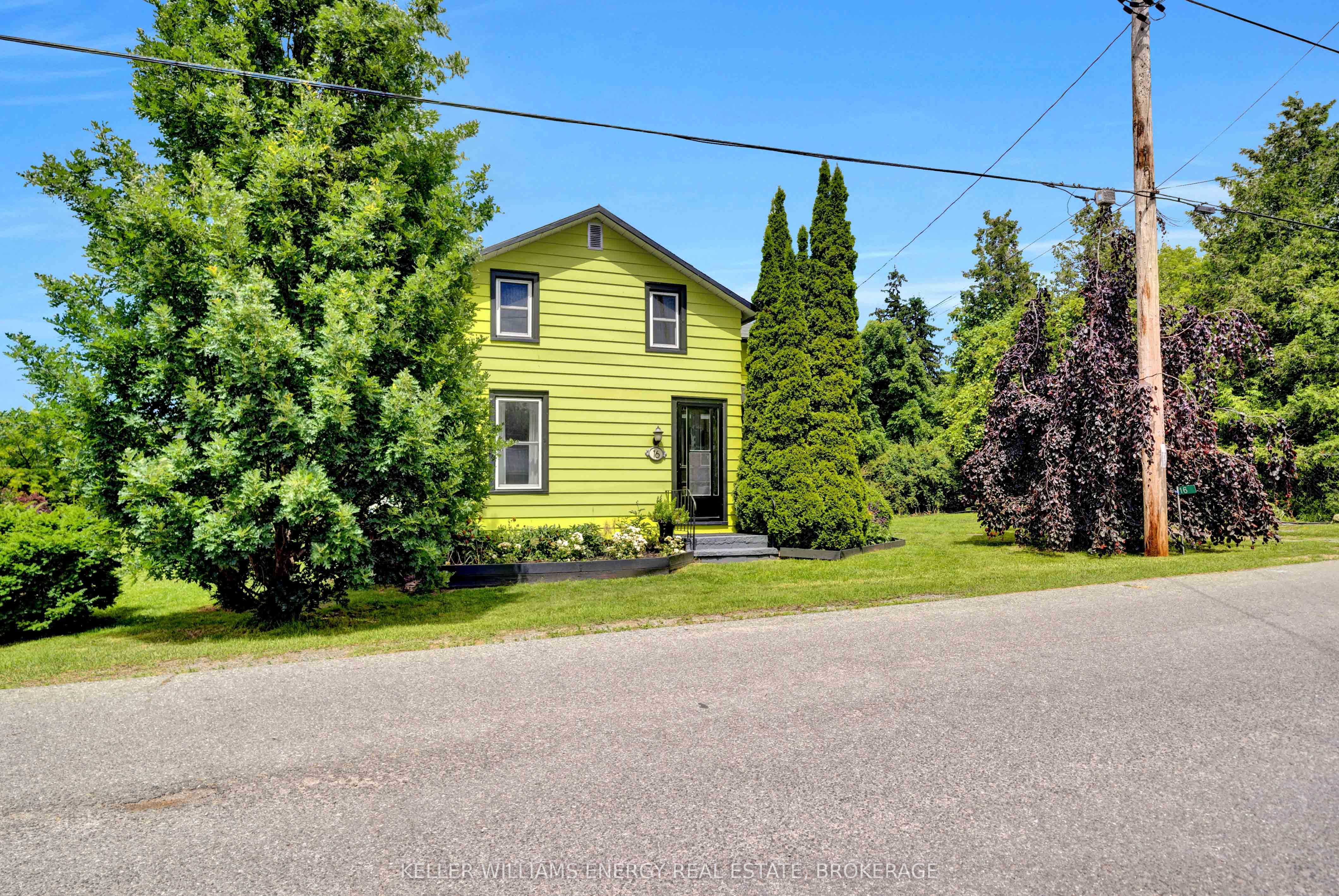 16 Squires Street Property Photo 45