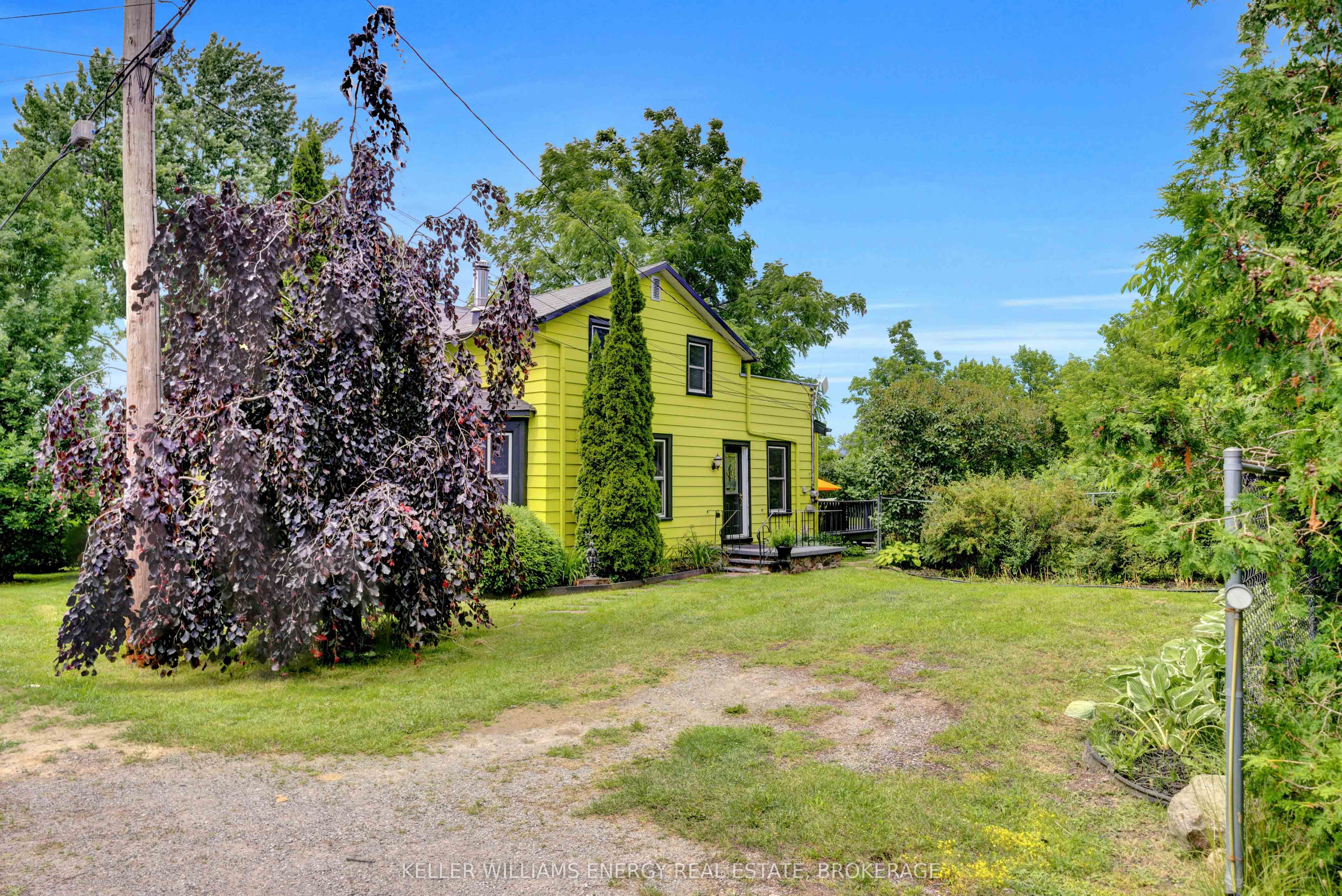 16 Squires Street Property Photo 46