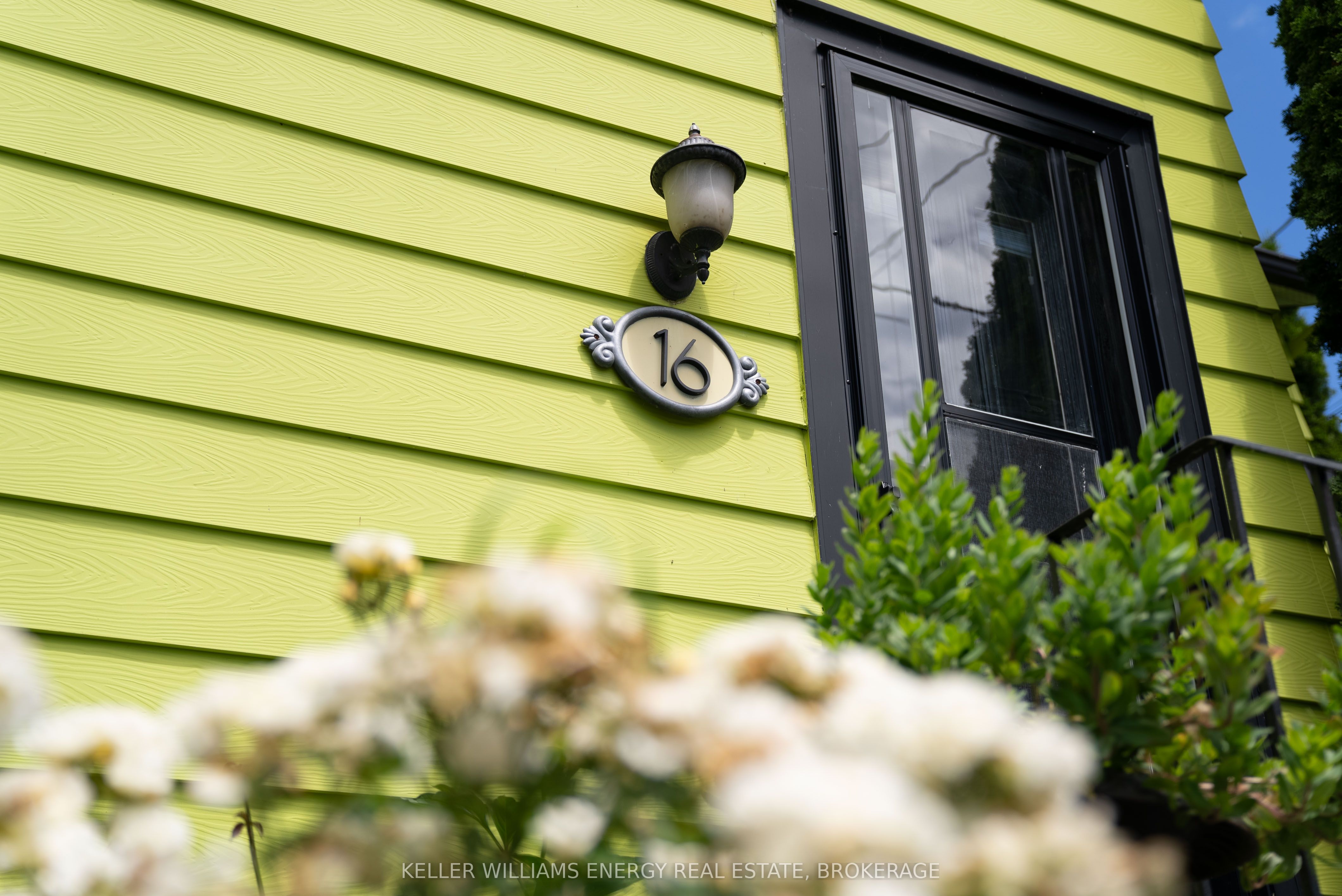16 Squires Street Property Photo 47
