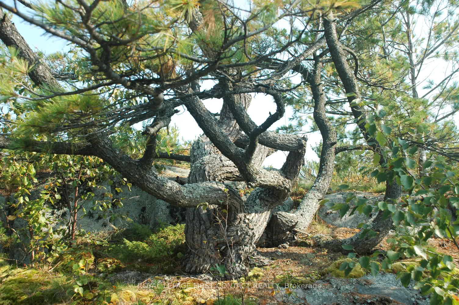 1 A249 Island N/a Property Photo 31