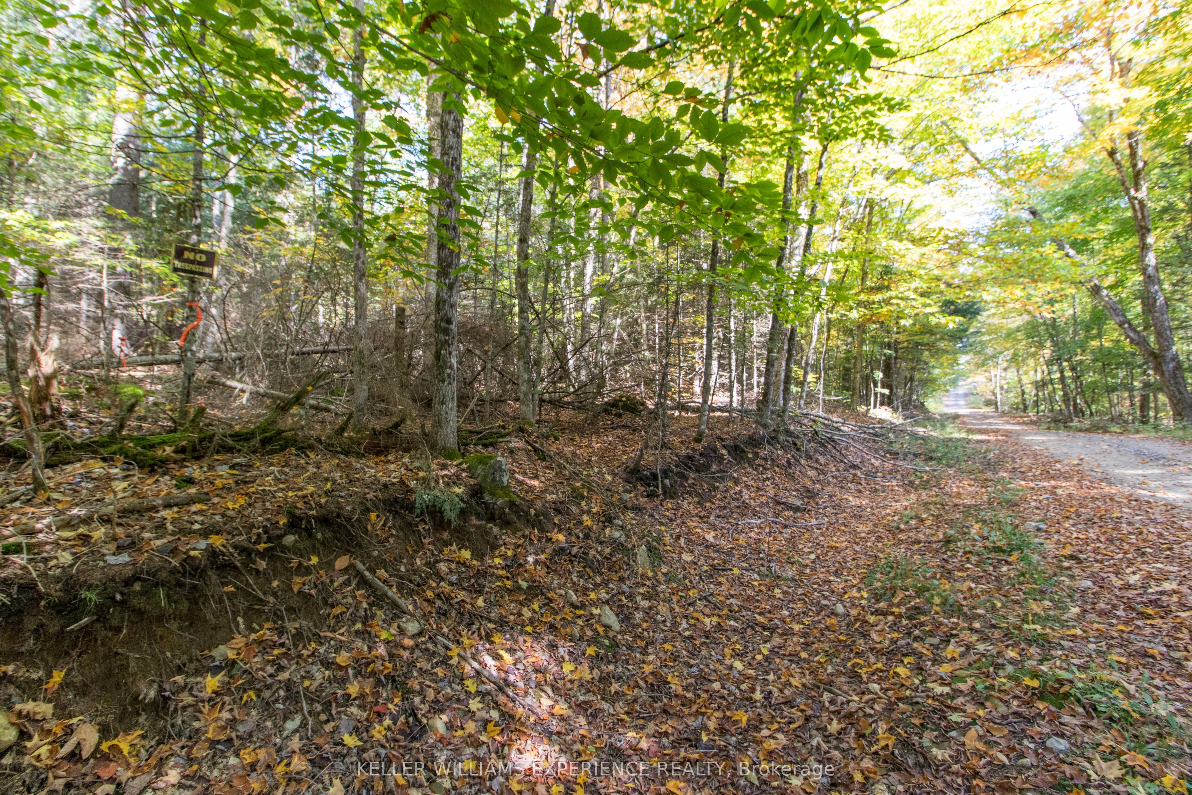 0 Lynx Lake Road Property Photo 1