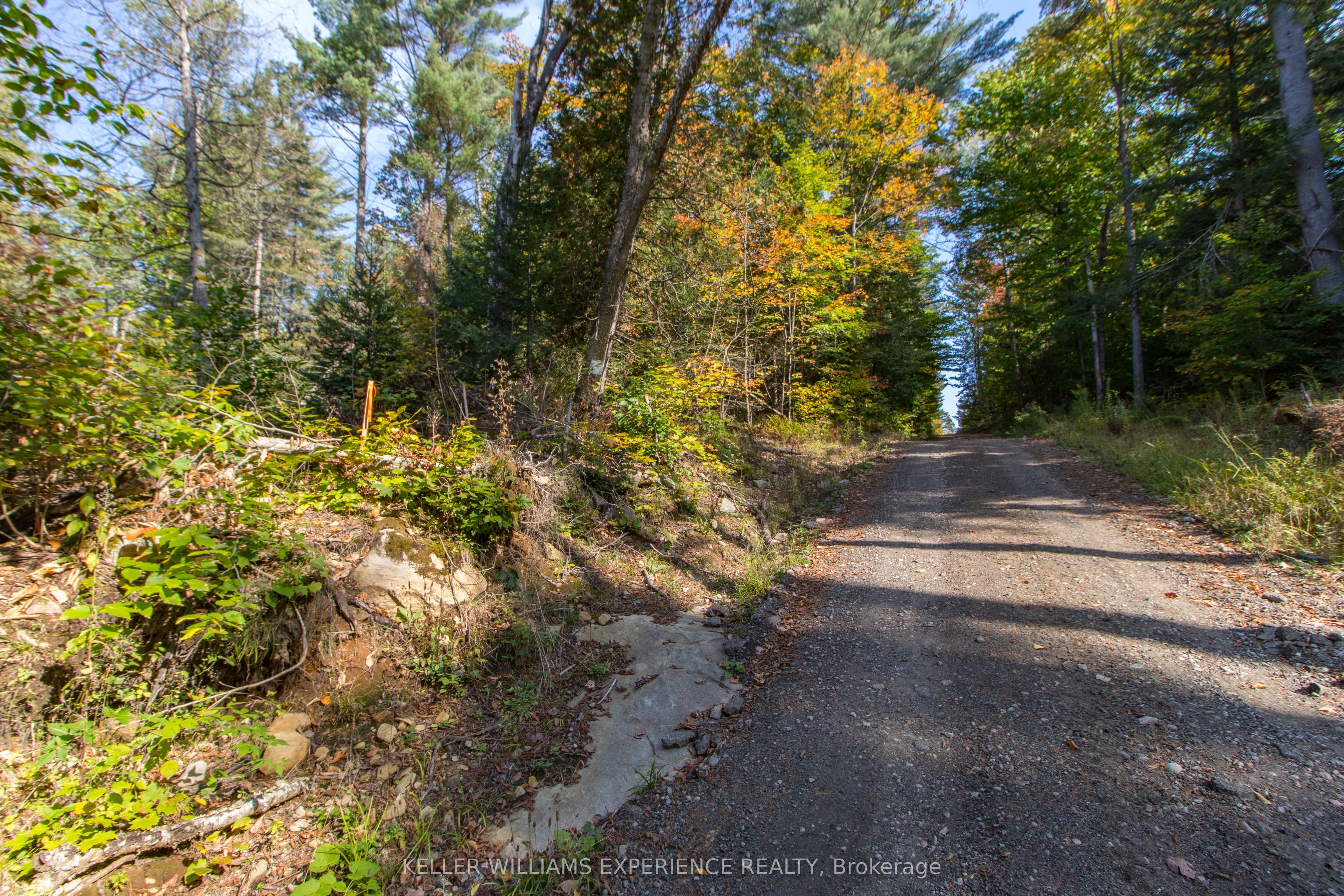 0 Lynx Lake Road Property Photo 3