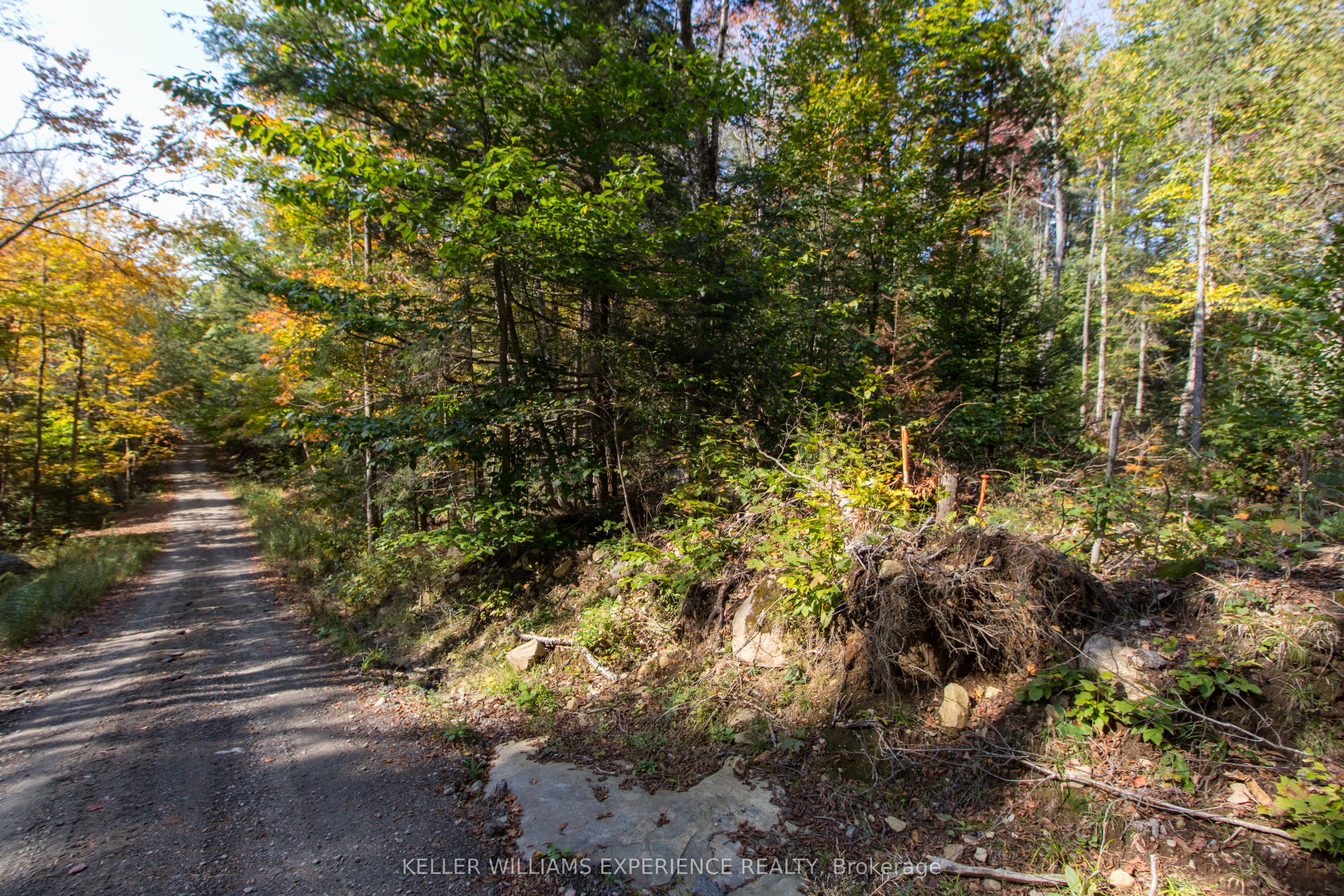 0 Lynx Lake Road Property Photo 4