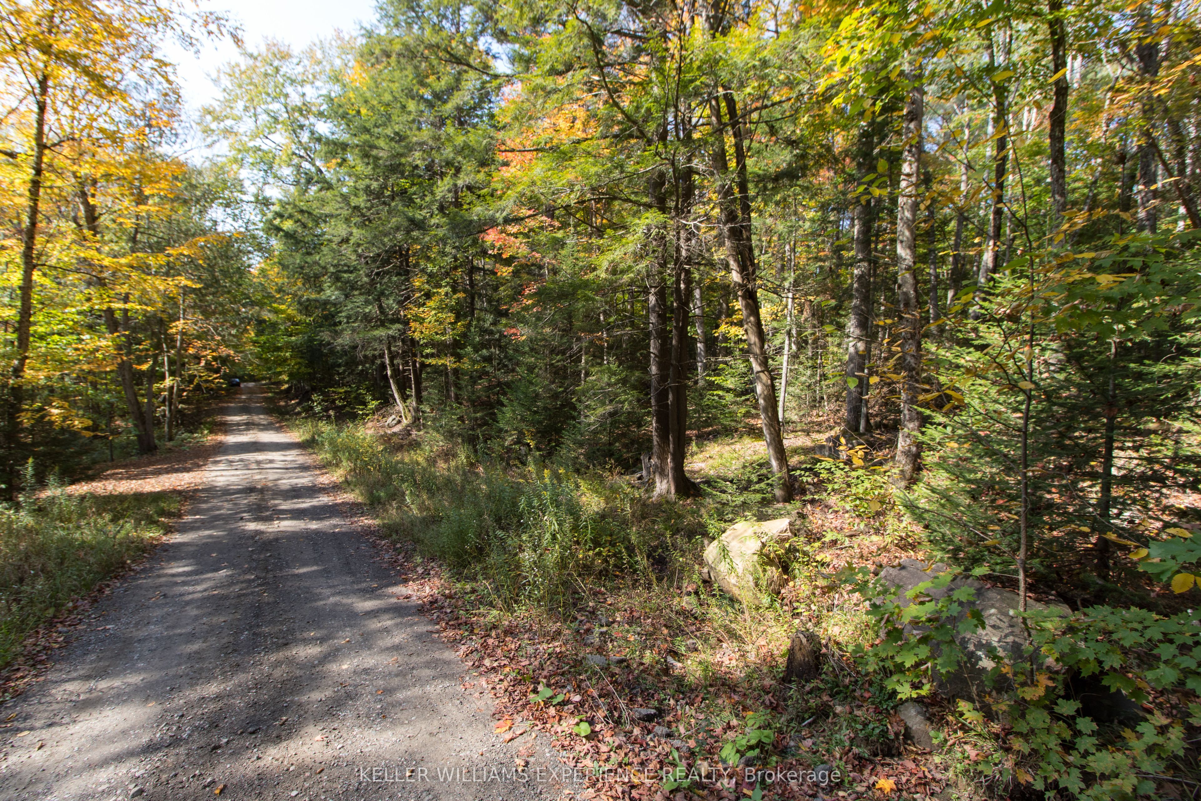 0 Lynx Lake Road Property Photo 6