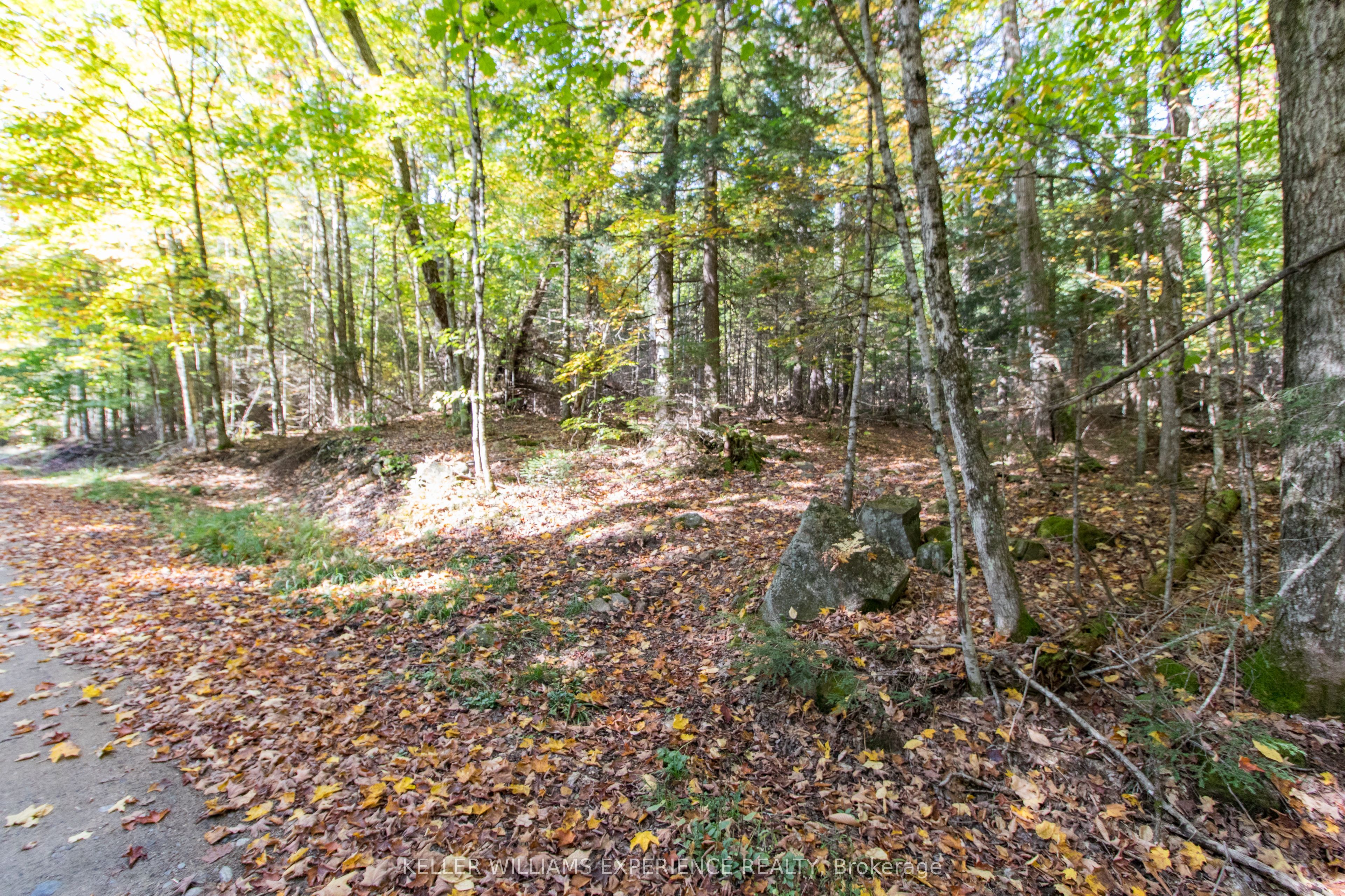 0 Lynx Lake Road Property Photo 7