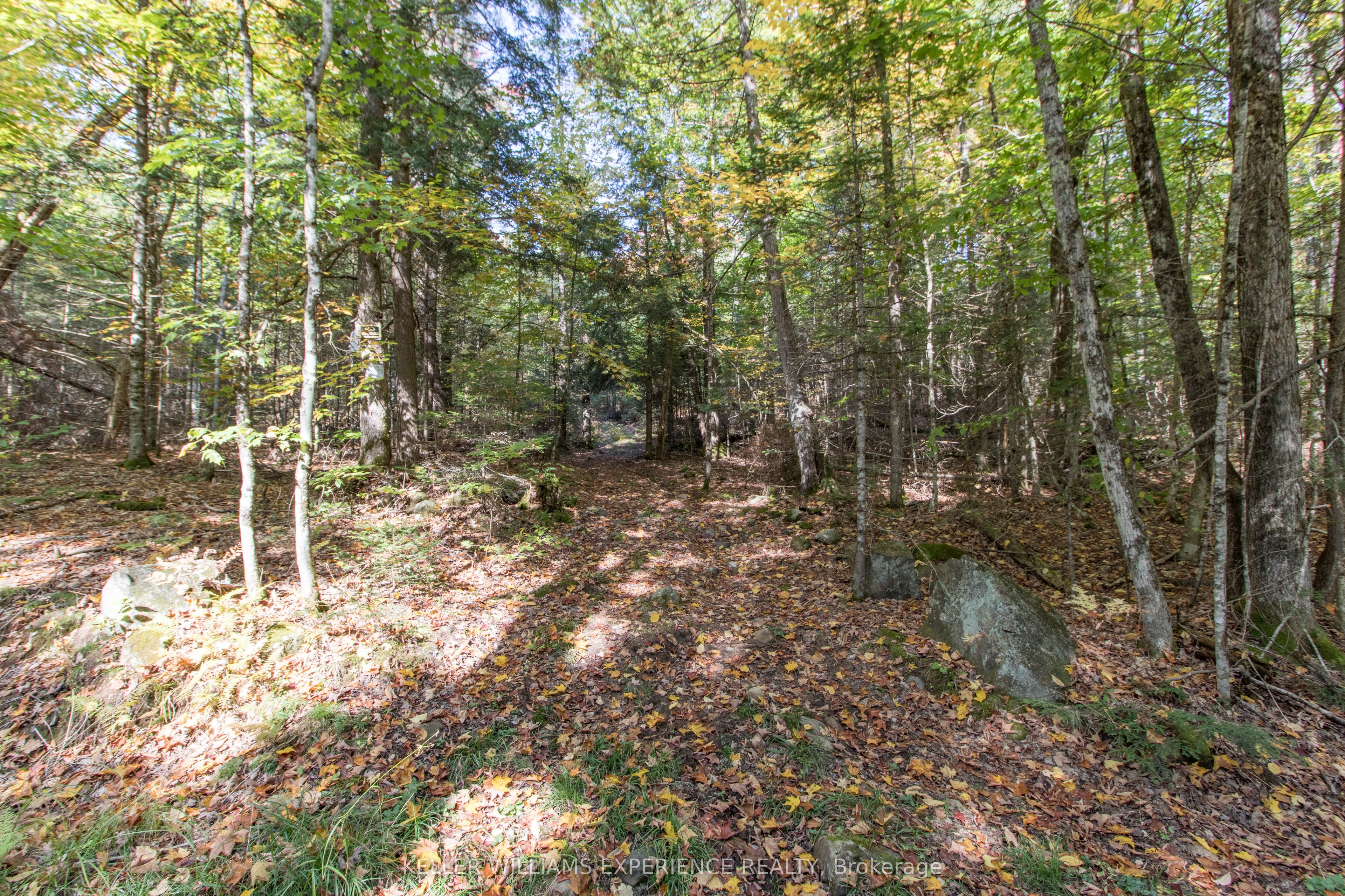 0 Lynx Lake Road Property Photo 8