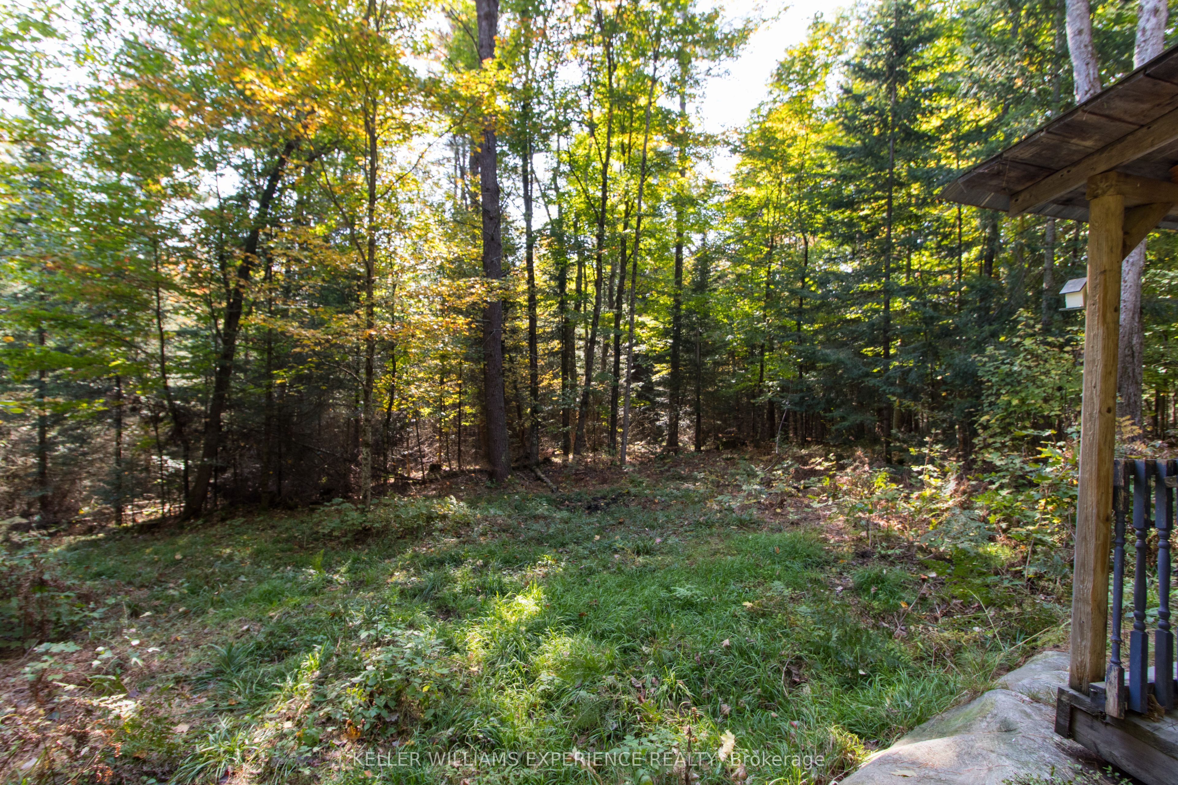 0 Lynx Lake Road Property Photo 10