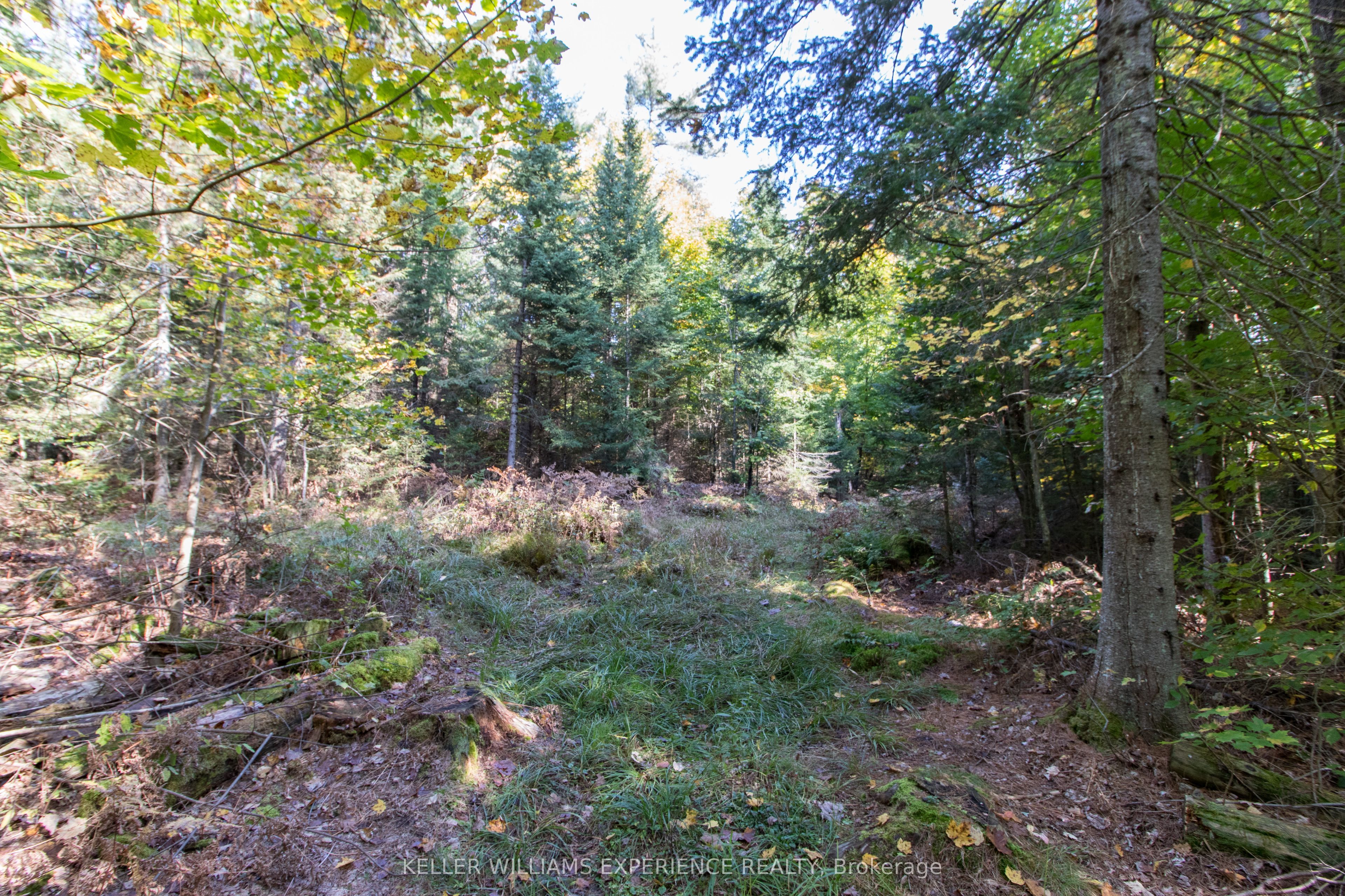 0 Lynx Lake Road Property Photo 12