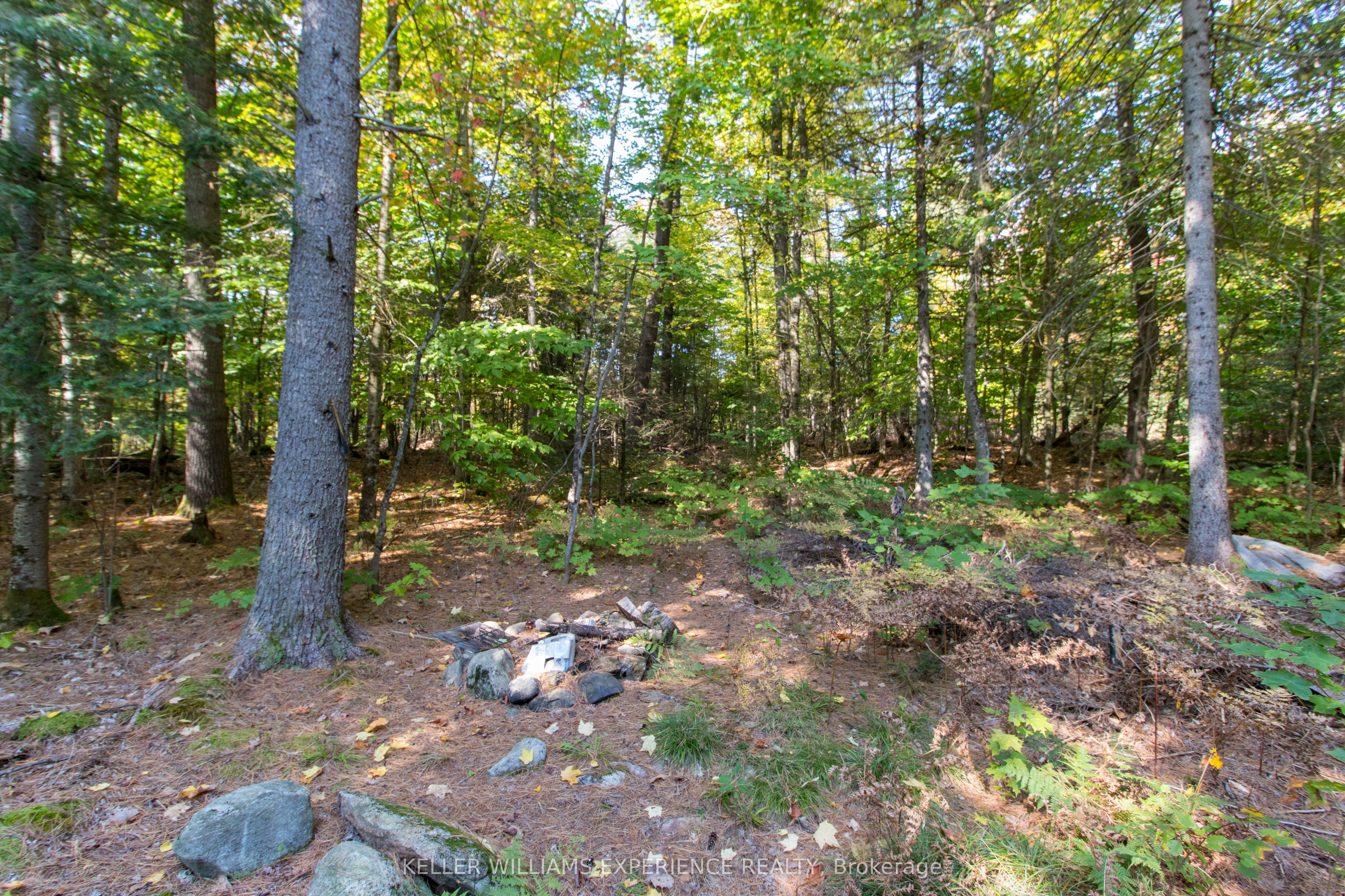 0 Lynx Lake Road Property Photo 13