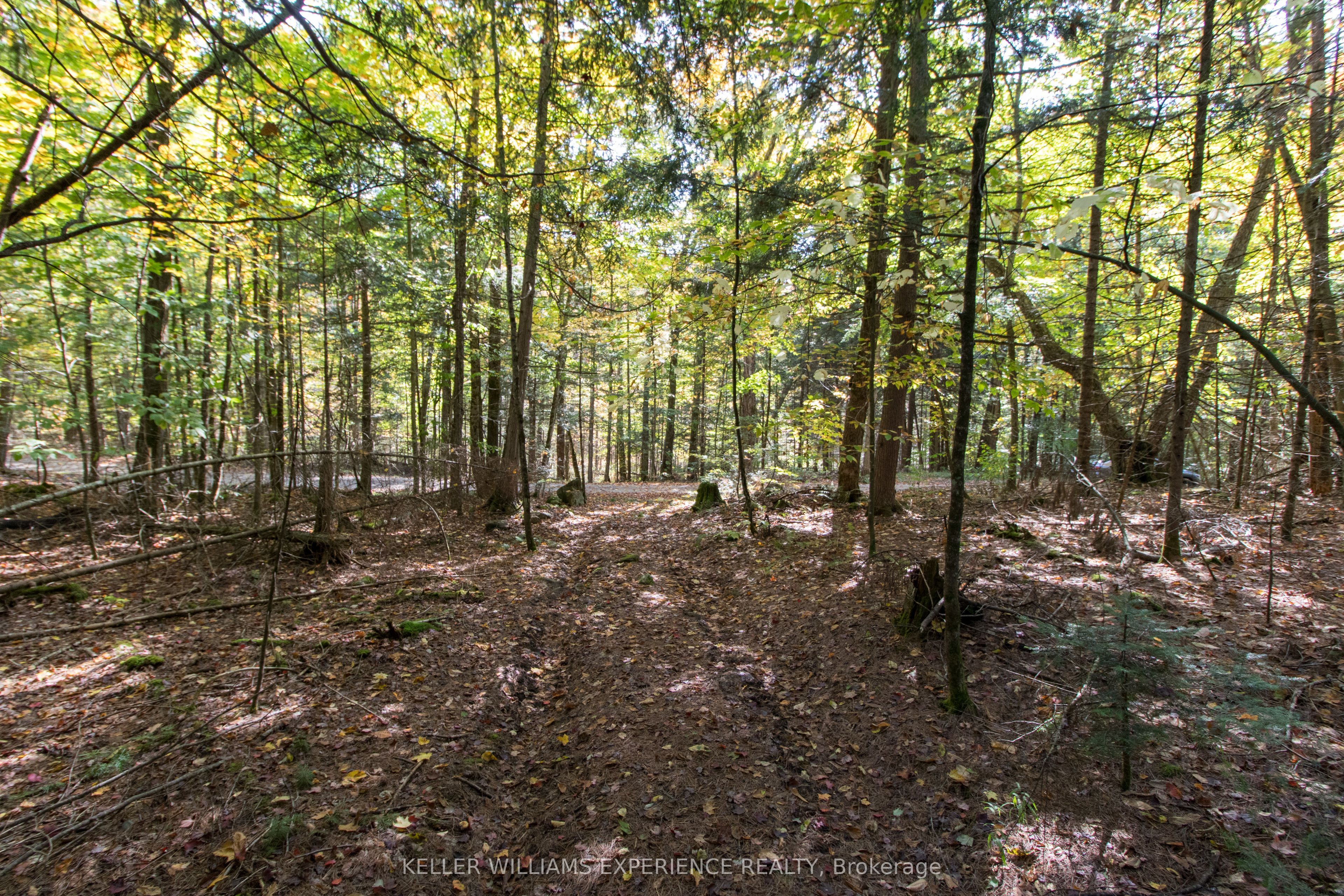 0 Lynx Lake Road Property Photo 14