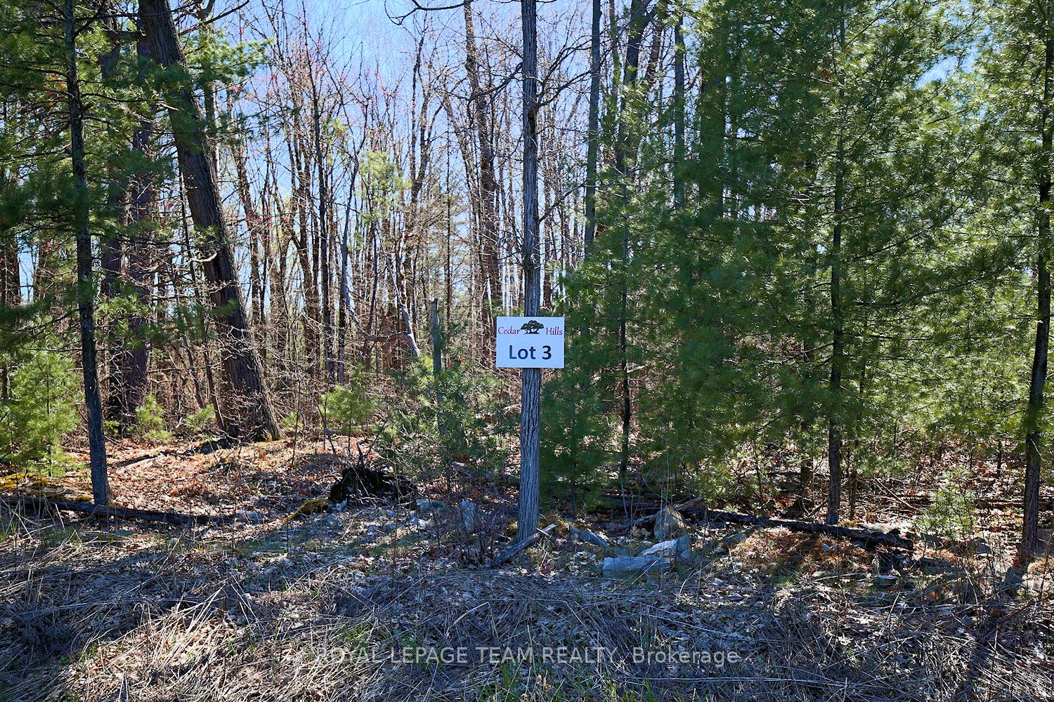 148 Derbeyshire Street Property Photo 1