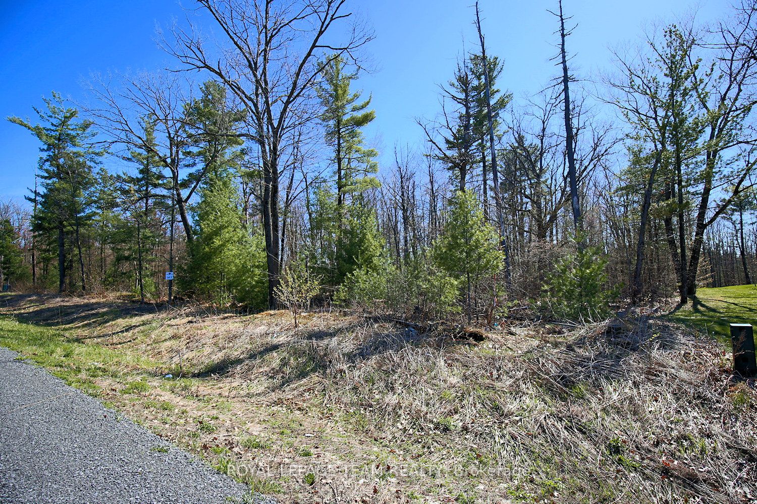 148 Derbeyshire Street Property Photo 6