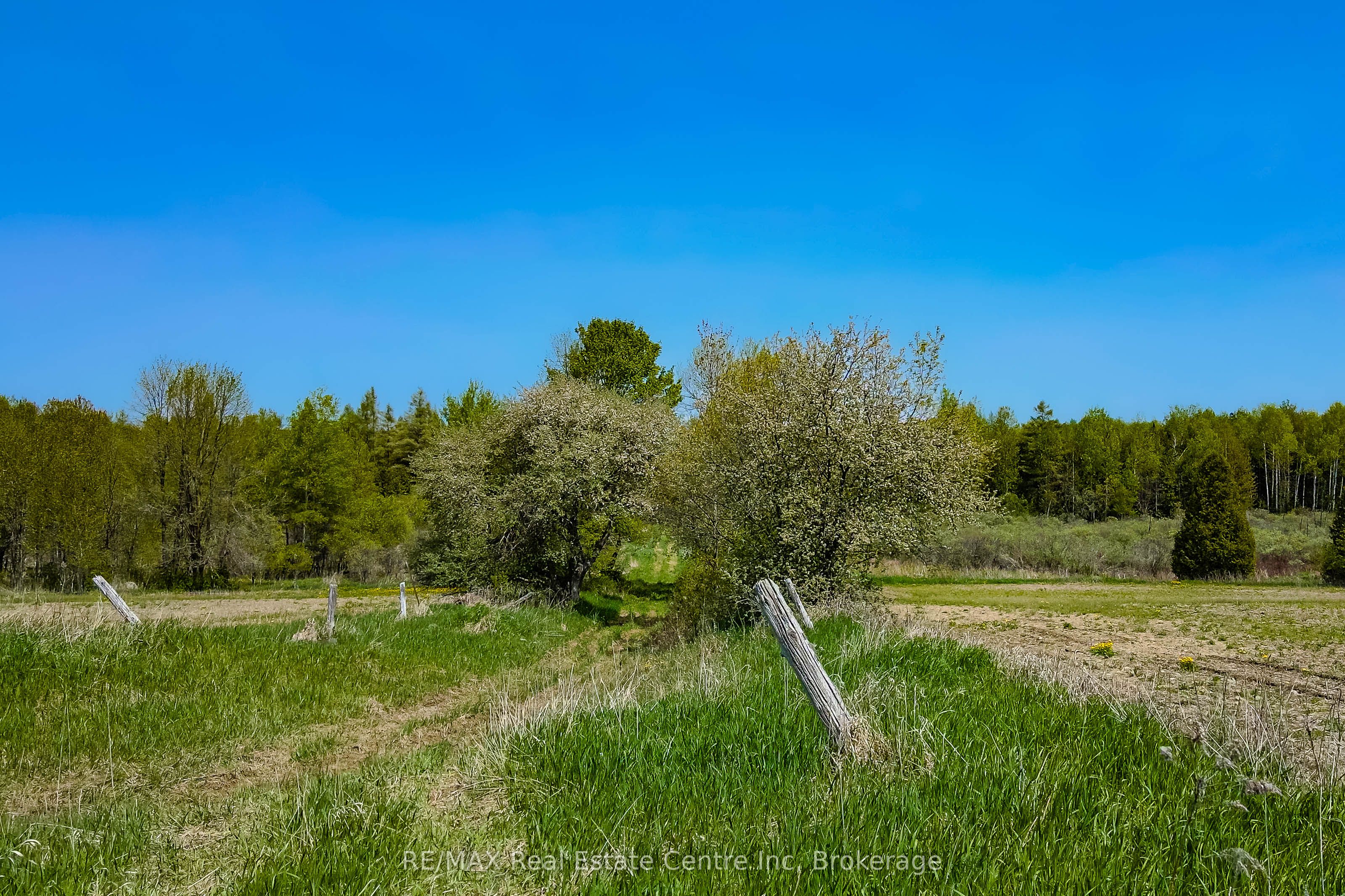 5489 Fourth Line Property Photo 7