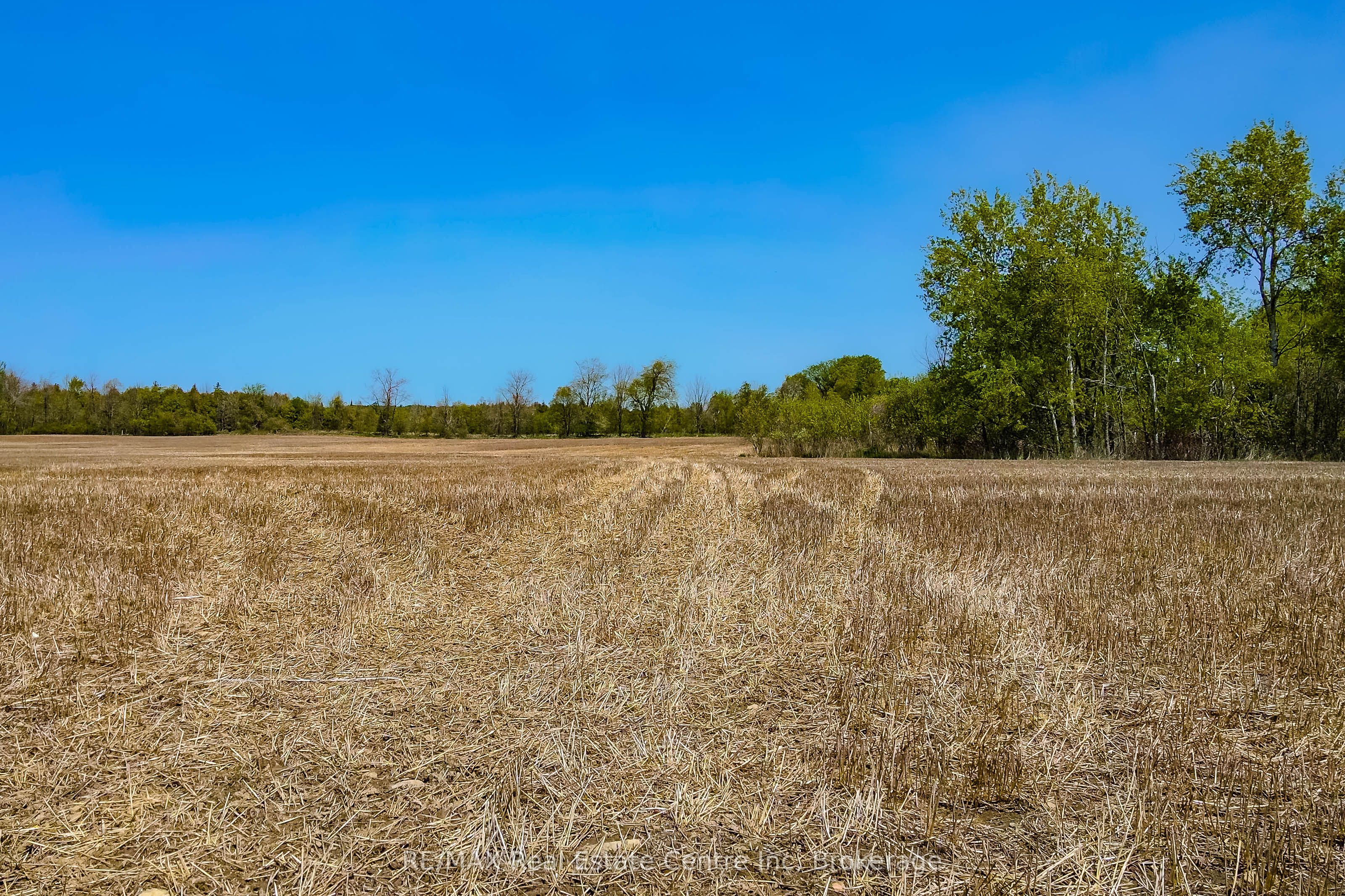 5489 Fourth Line Property Photo 11