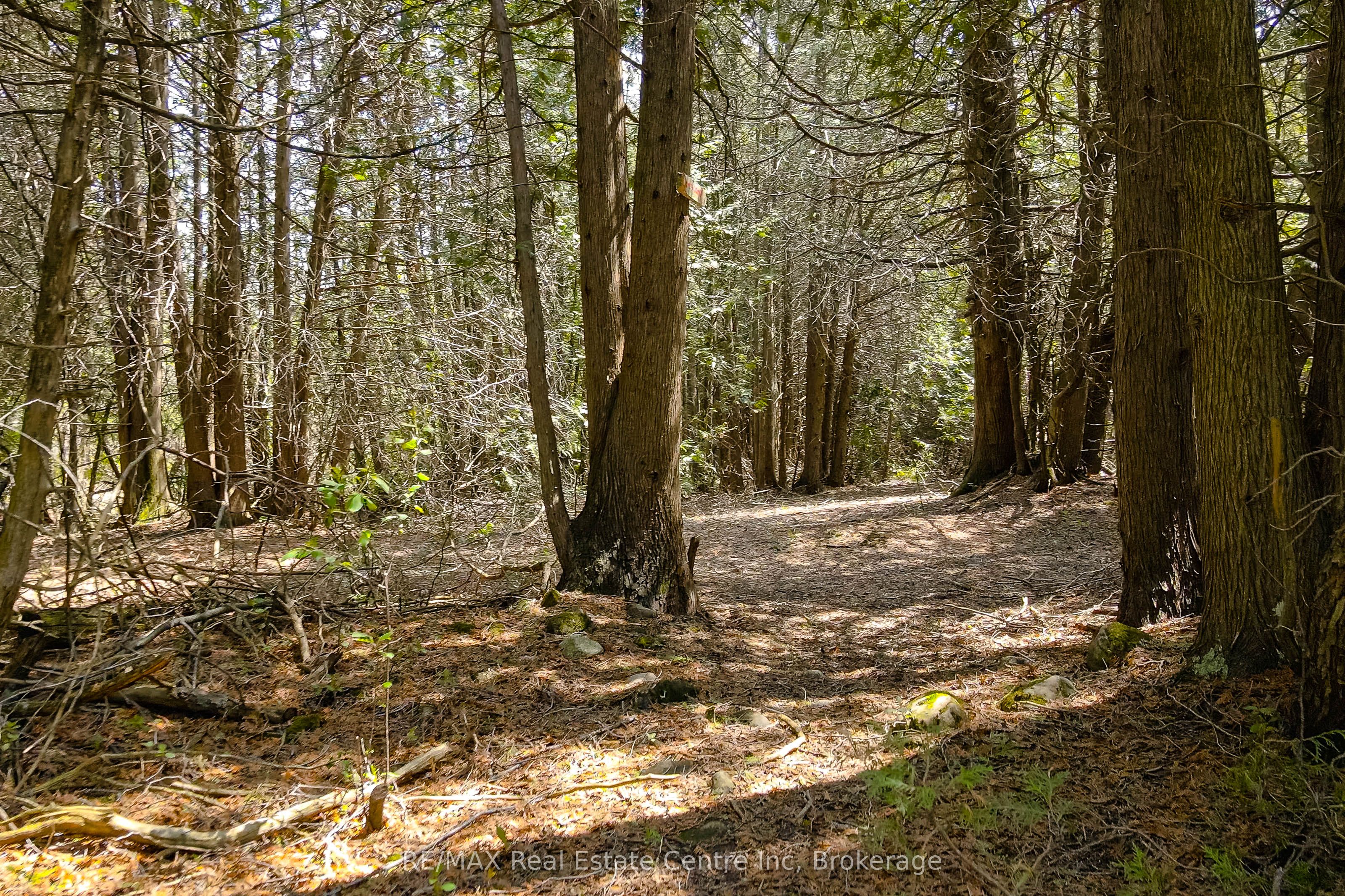 5489 Fourth Line Property Photo 12