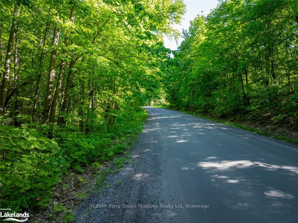 187b Star Lake Road Property Photo 2