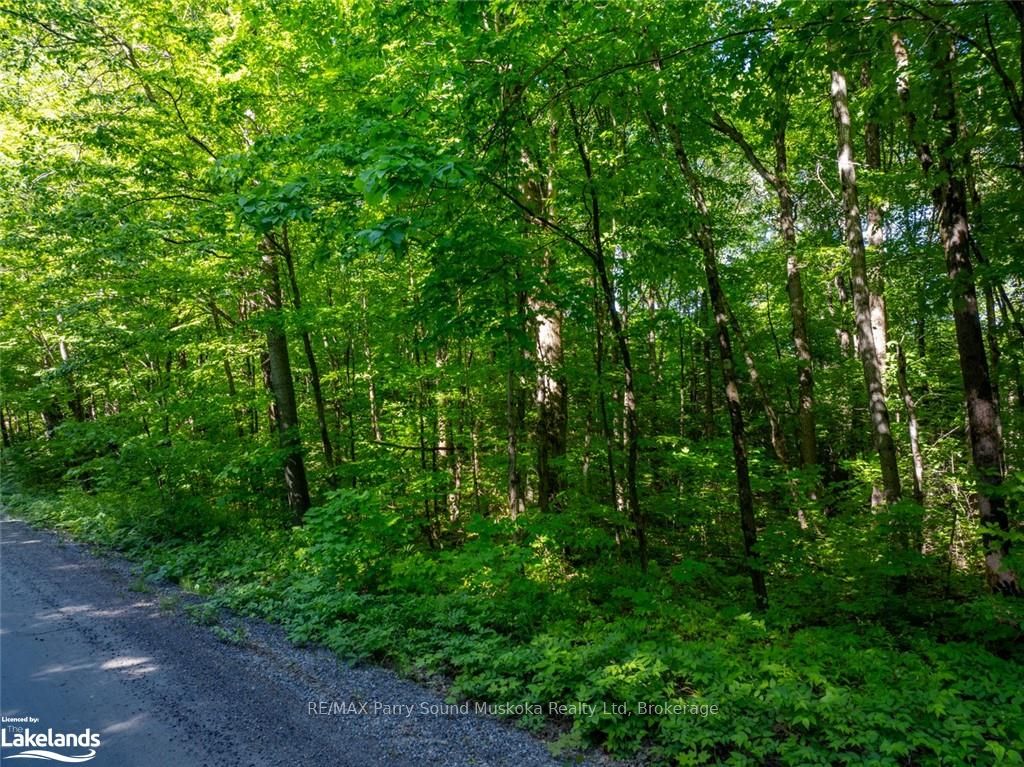 187b Star Lake Road Property Photo 3