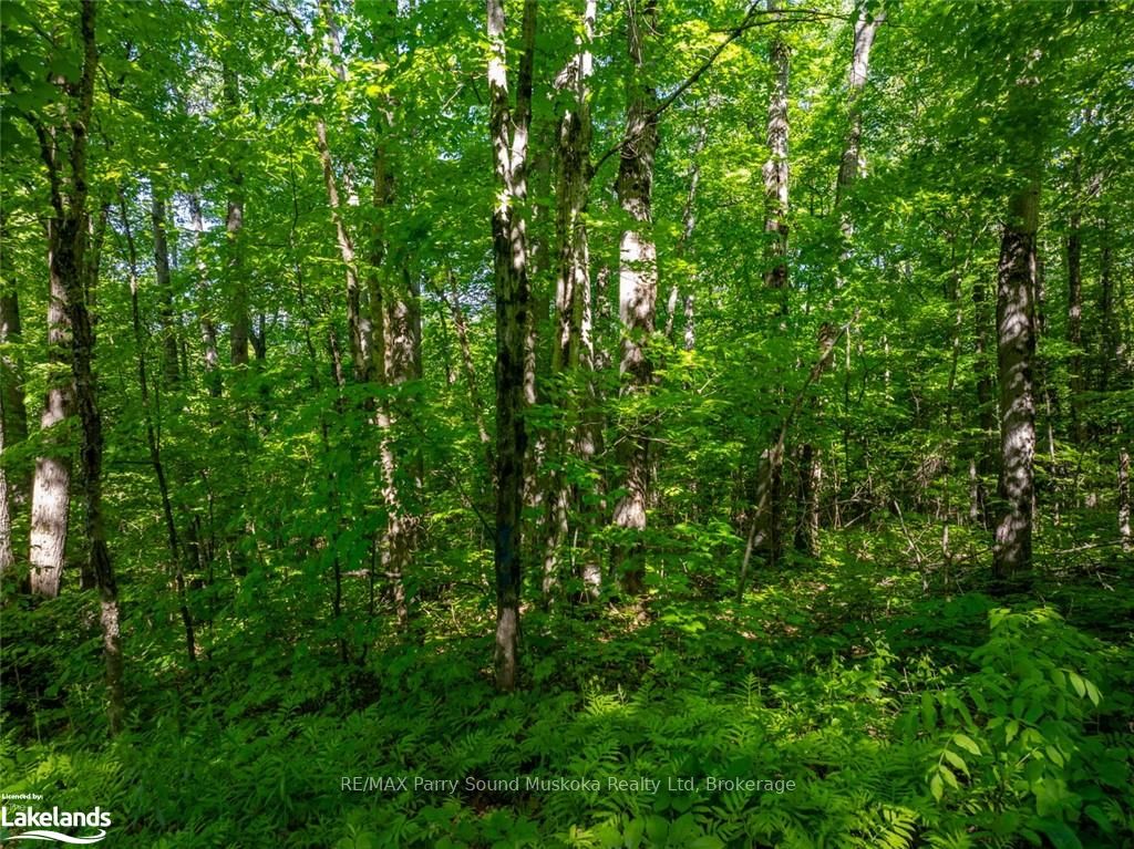187b Star Lake Road Property Photo 7