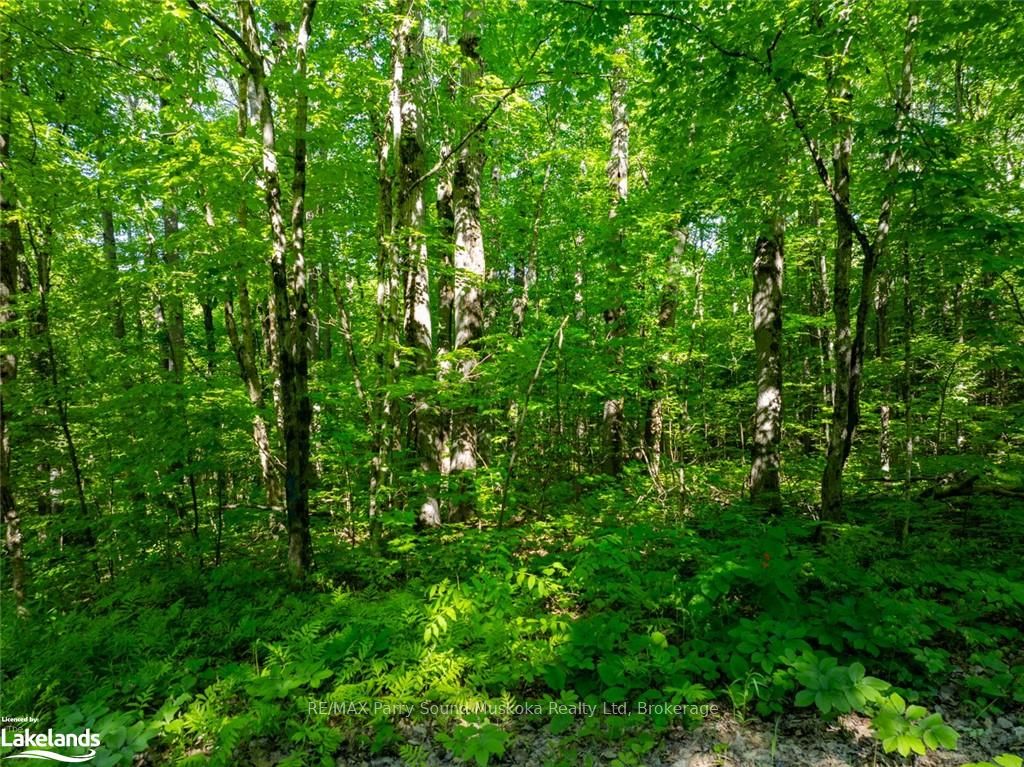 187b Star Lake Road Property Photo 8
