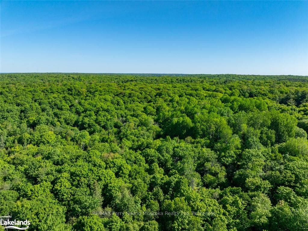 187b Star Lake Road Property Photo 14