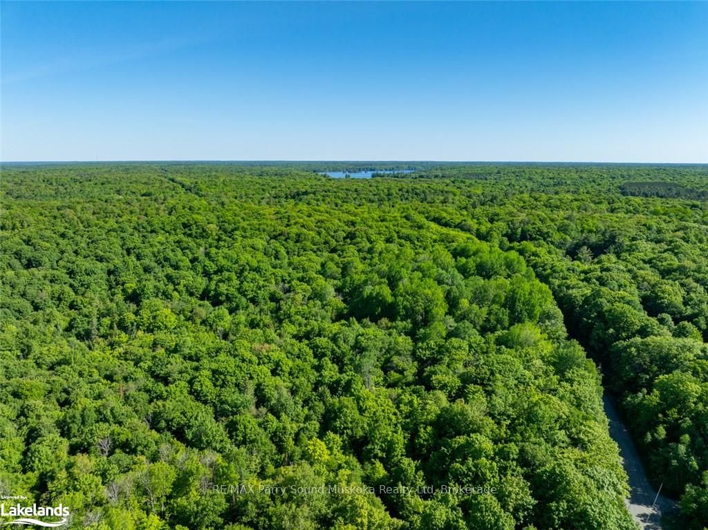 187b Star Lake Road Property Photo 19
