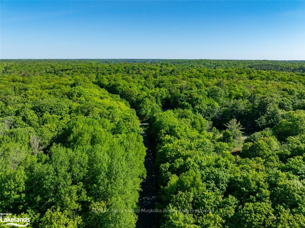 187b Star Lake Road Property Photo 26