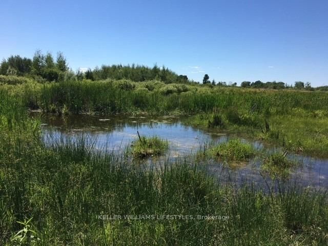 1049 Sandringham Road Property Photo 3