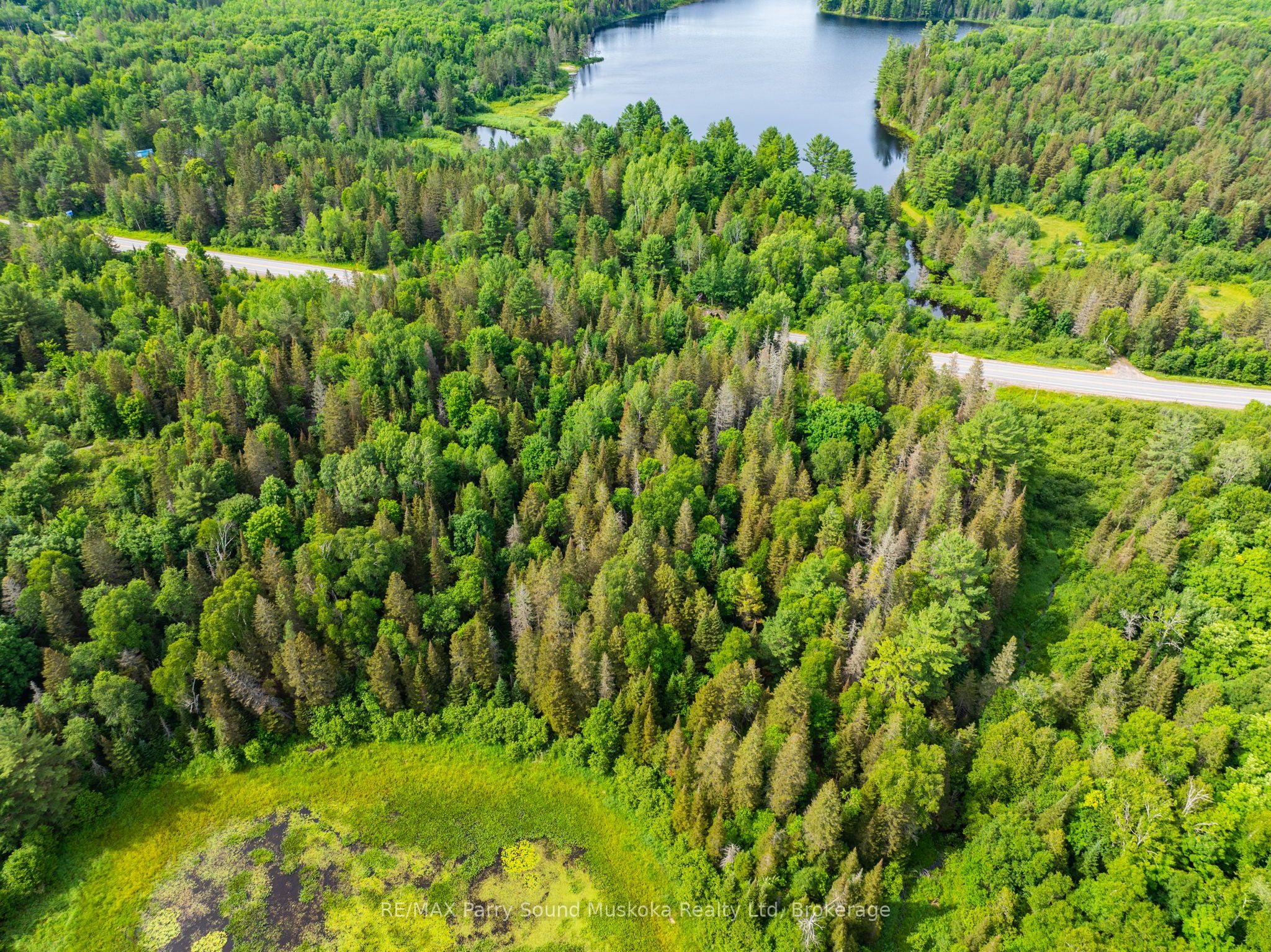 7281b Highway 124 Property Photo 3