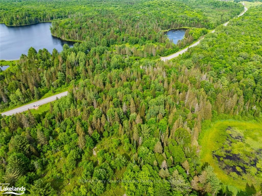 7281a Highway 124 Property Photo 3