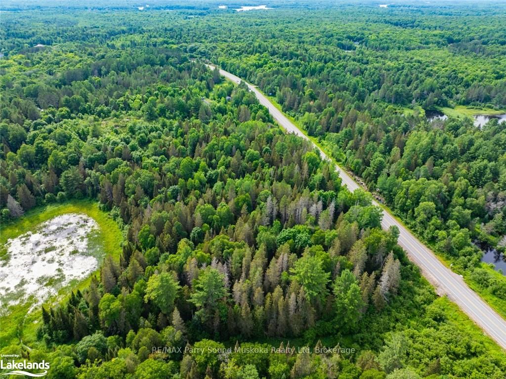 7281a Highway 124 Property Photo 6