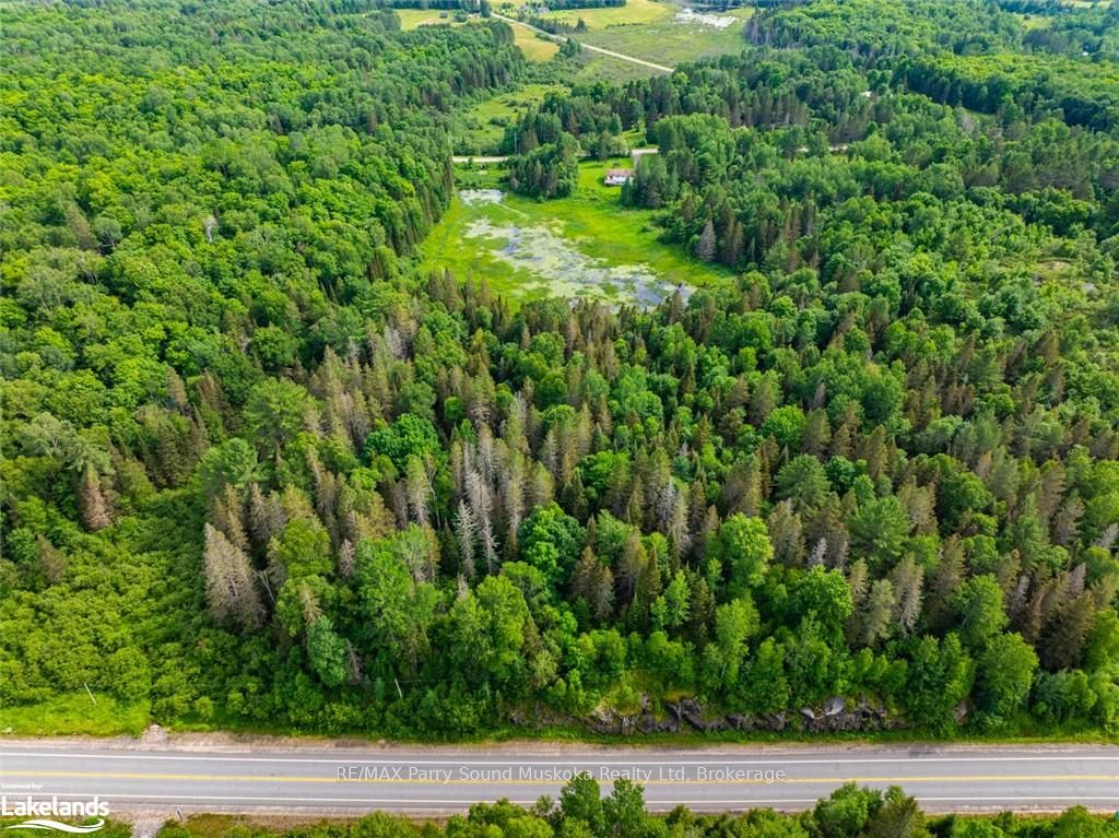 7281a Highway 124 Property Photo 9
