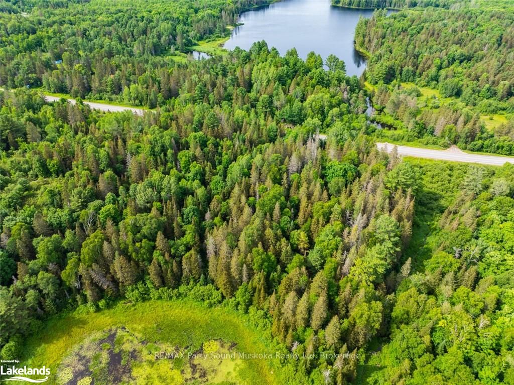 7281 Highway 124 Property Photo 3