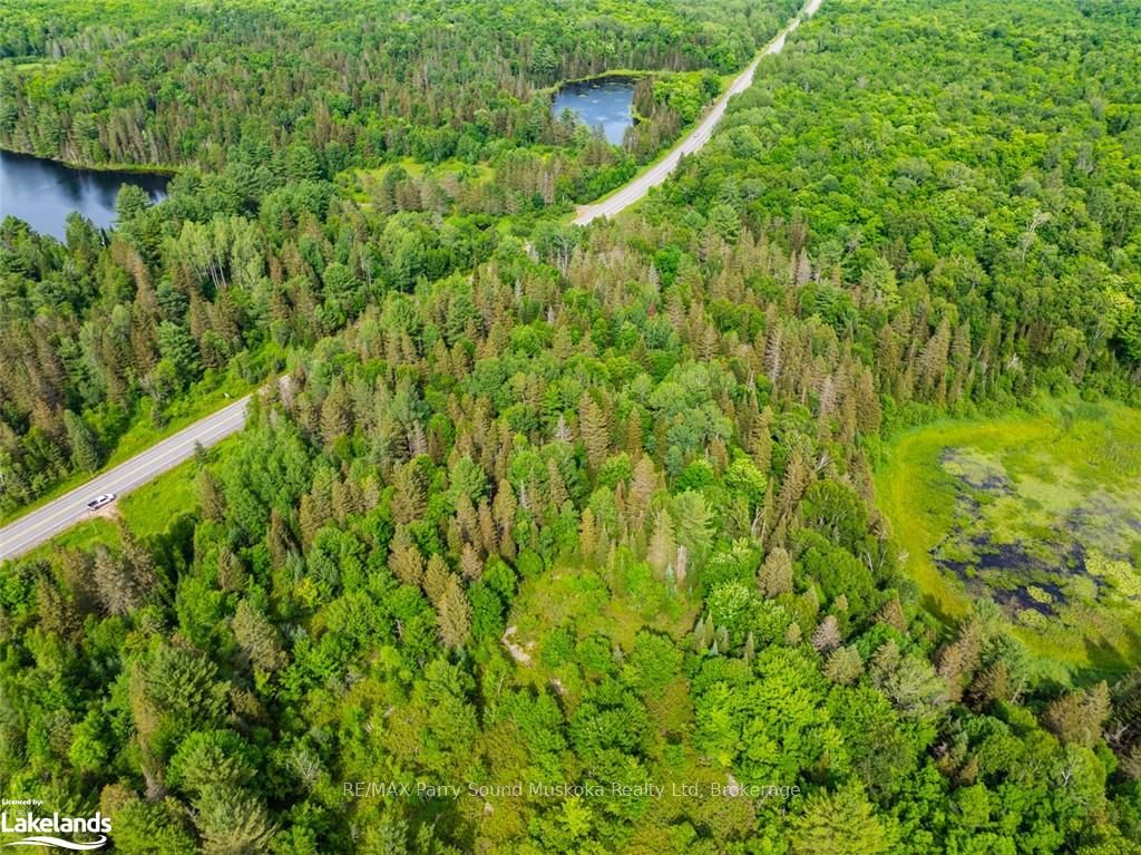 7281 Highway 124 Property Photo 5