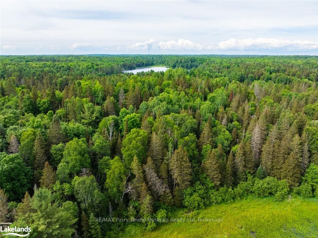 7281 Highway 124 Property Photo 20