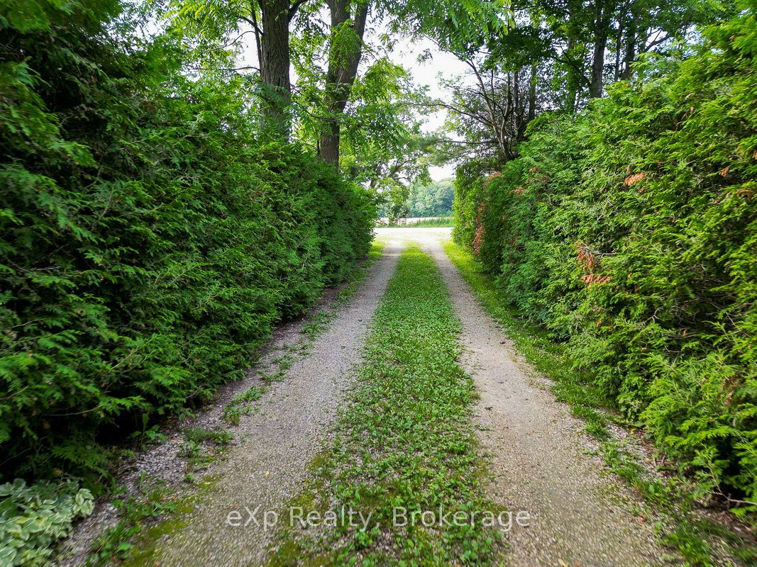 845064 Deviation Road Property Photo 42