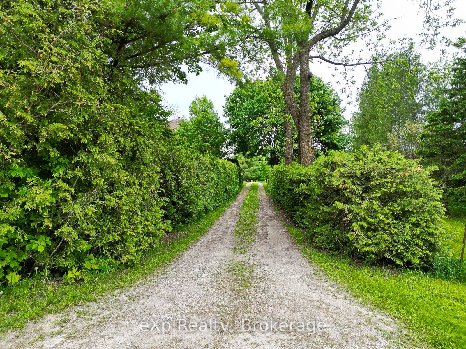845064 Deviation Road Property Photo 43