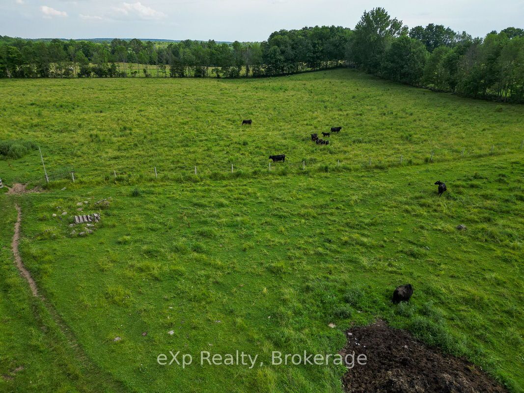 845064 Deviation Road Property Photo 46