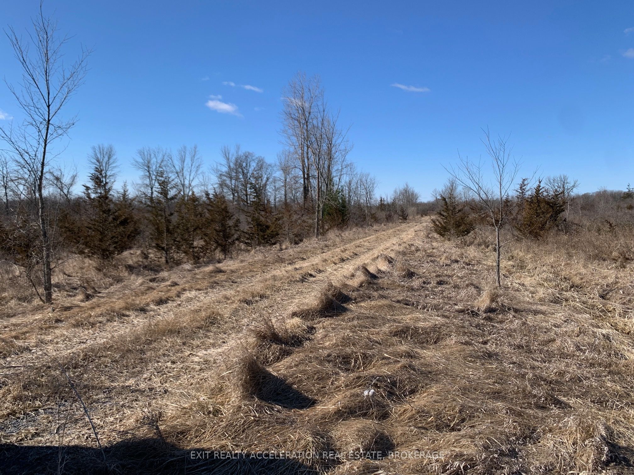 0 County Rd 8 Property Photo 5