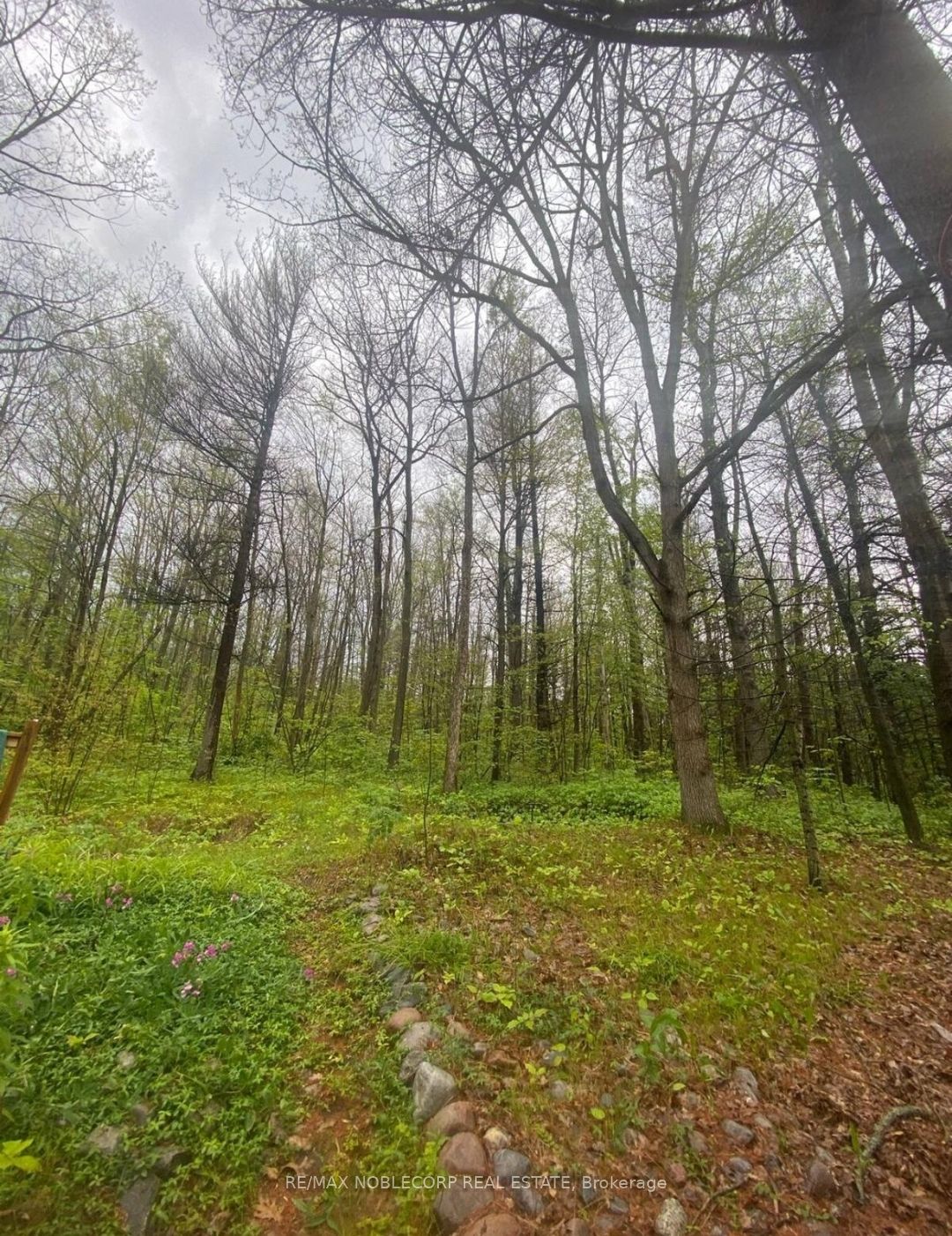 248 Pinnacle Hill Road N Unit 154 Property Photo 14