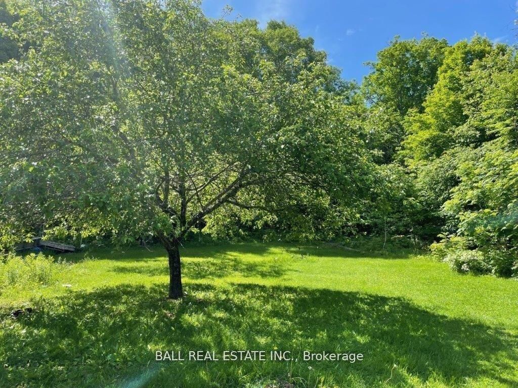 17 Battelle Road Property Photo 29