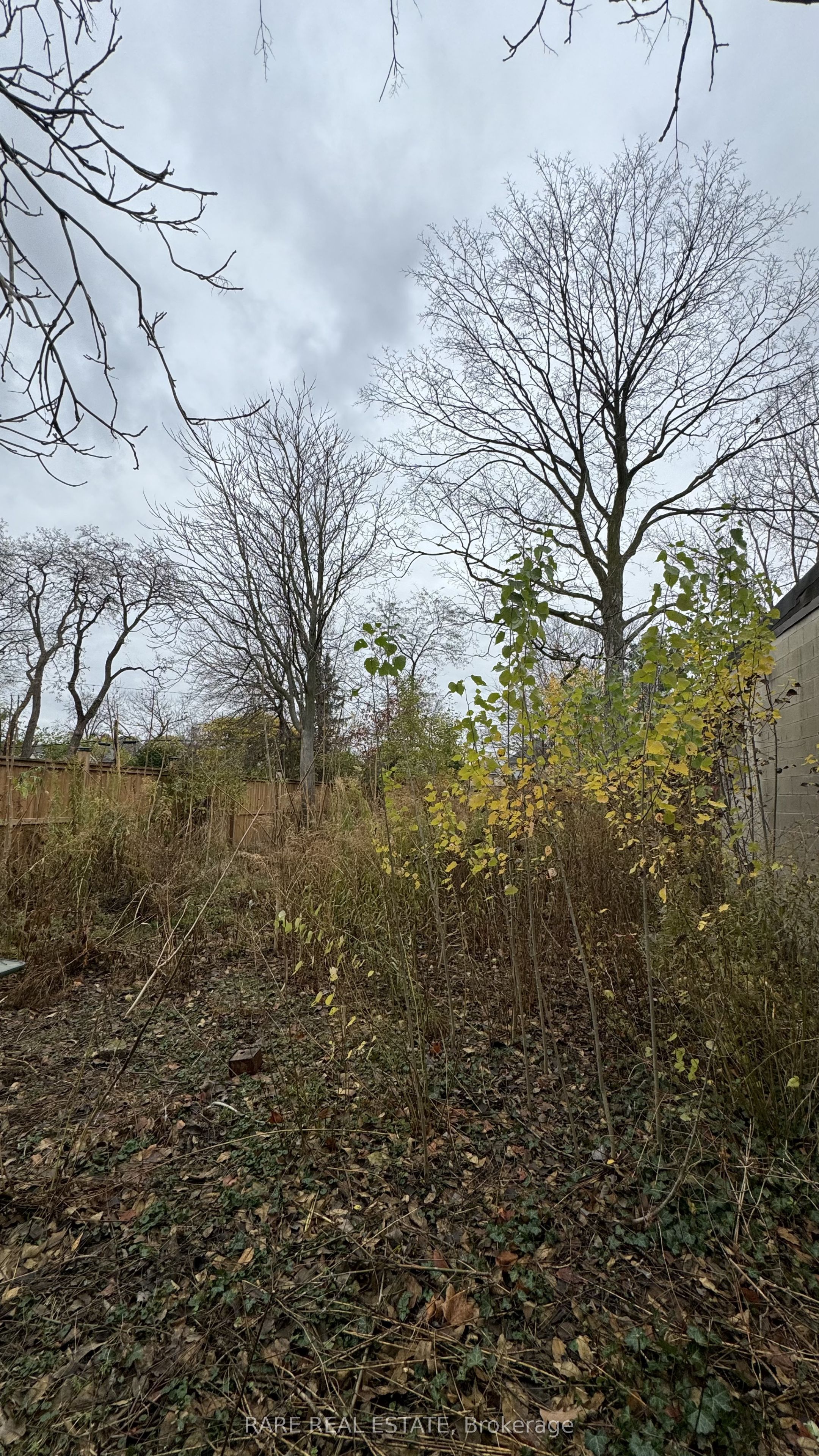 778-780 Dundas Street Property Photo 12