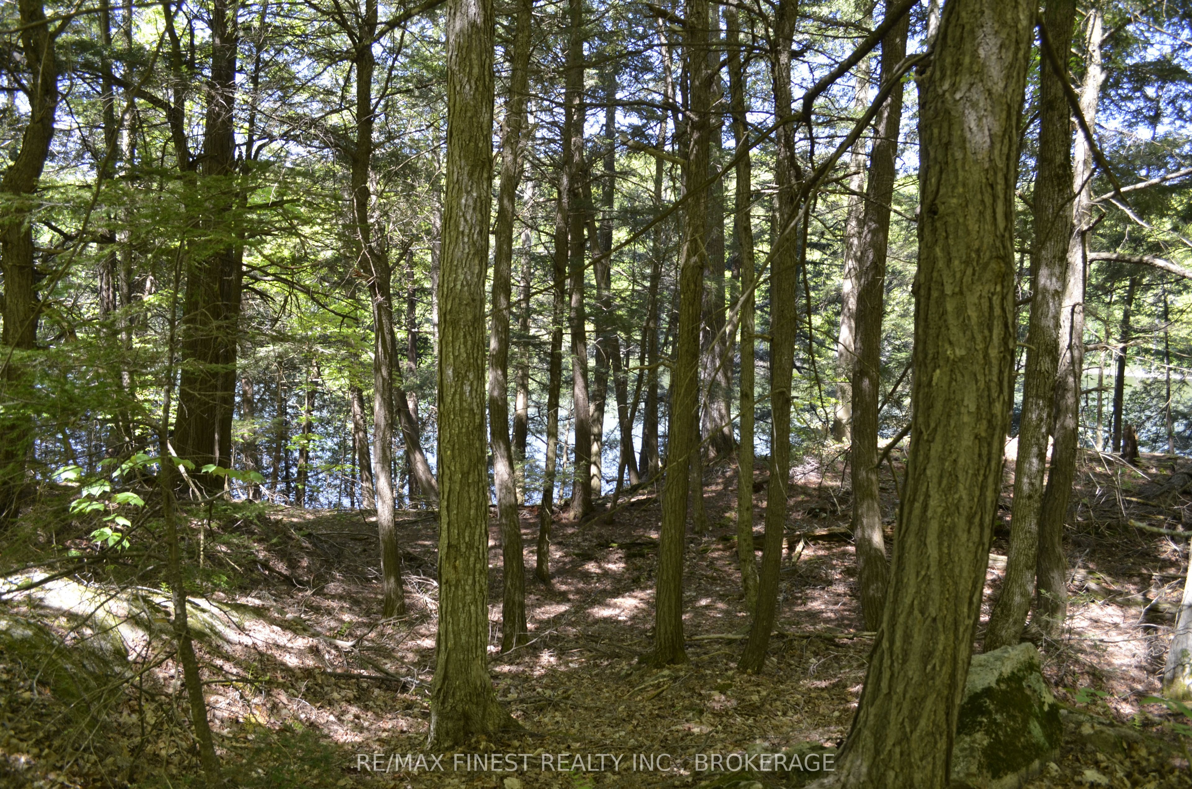 734 Sherbrooke Drive Property Photo 2