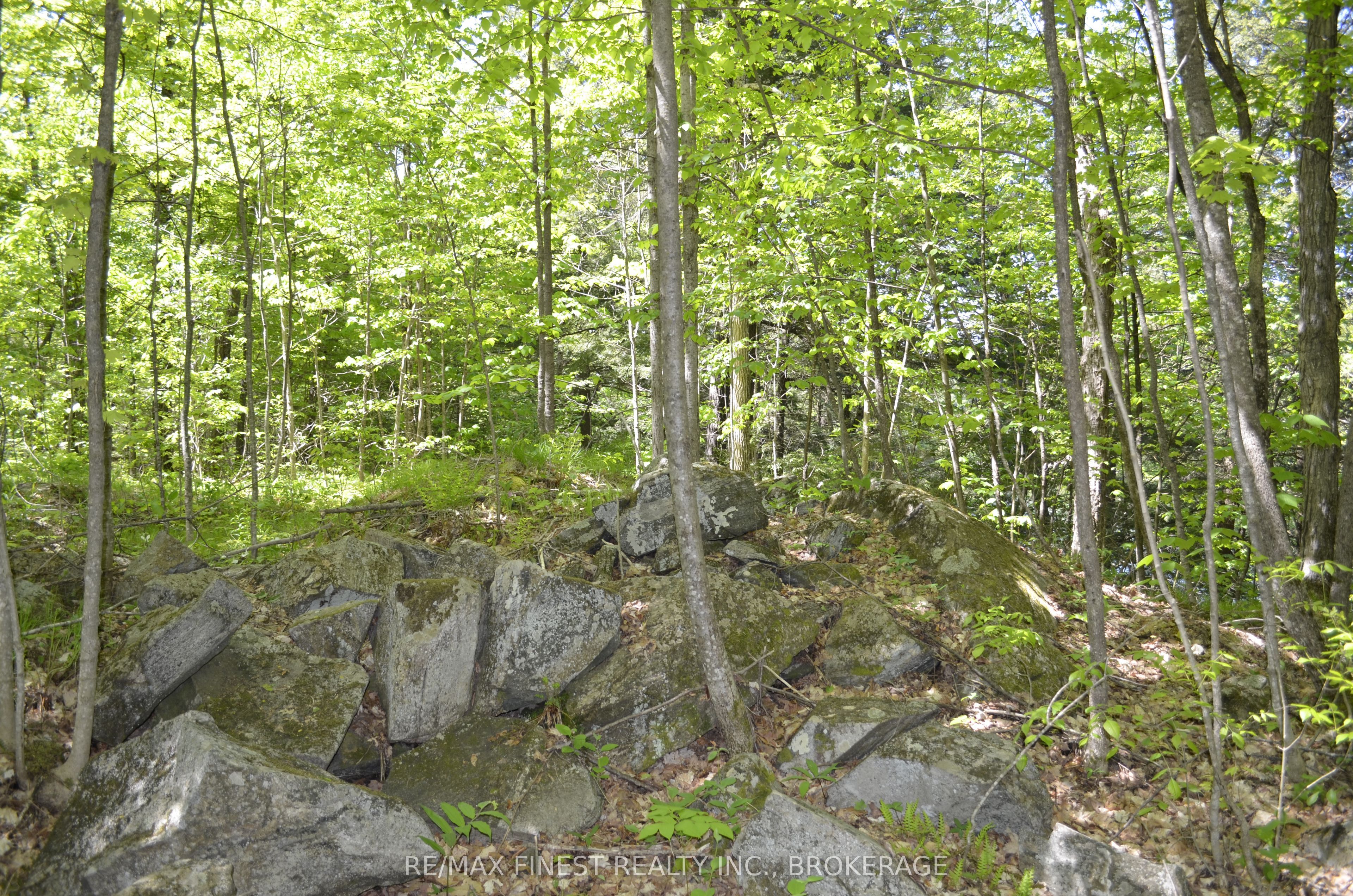 734 Sherbrooke Drive Property Photo 3