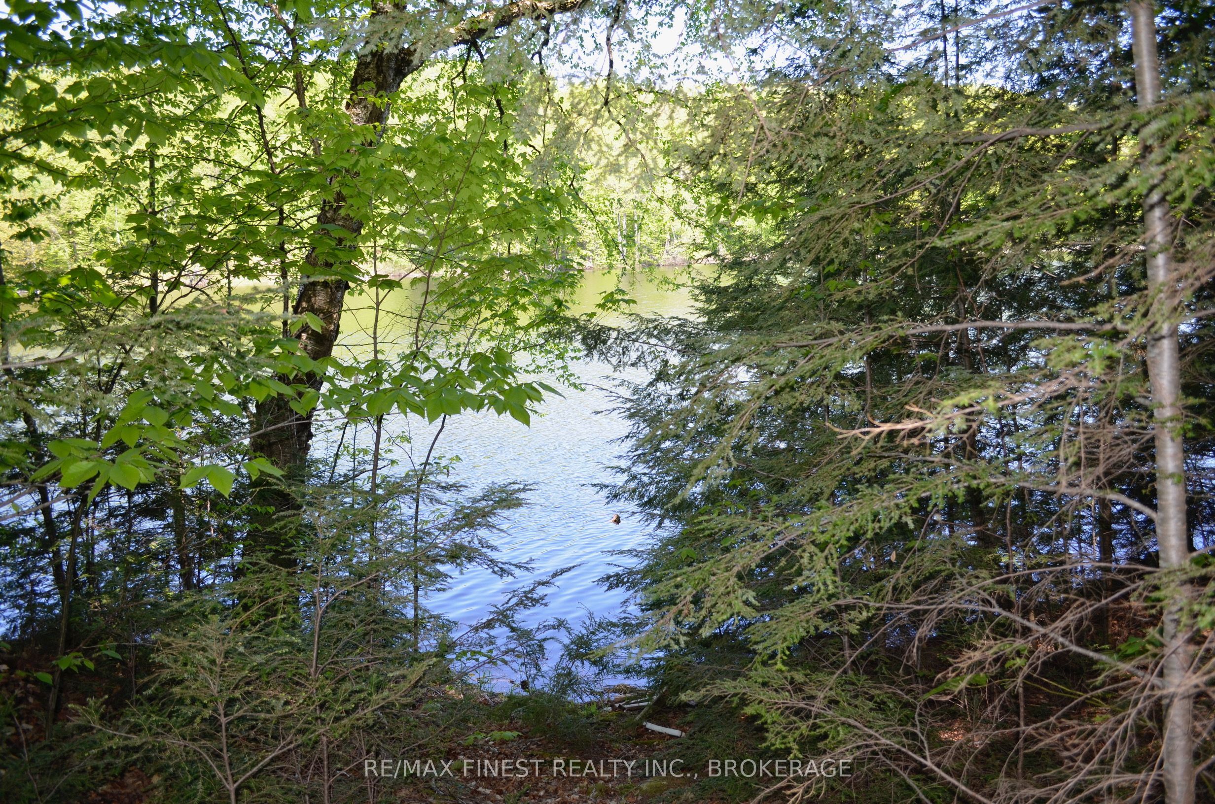 734 Sherbrooke Drive Property Photo 10