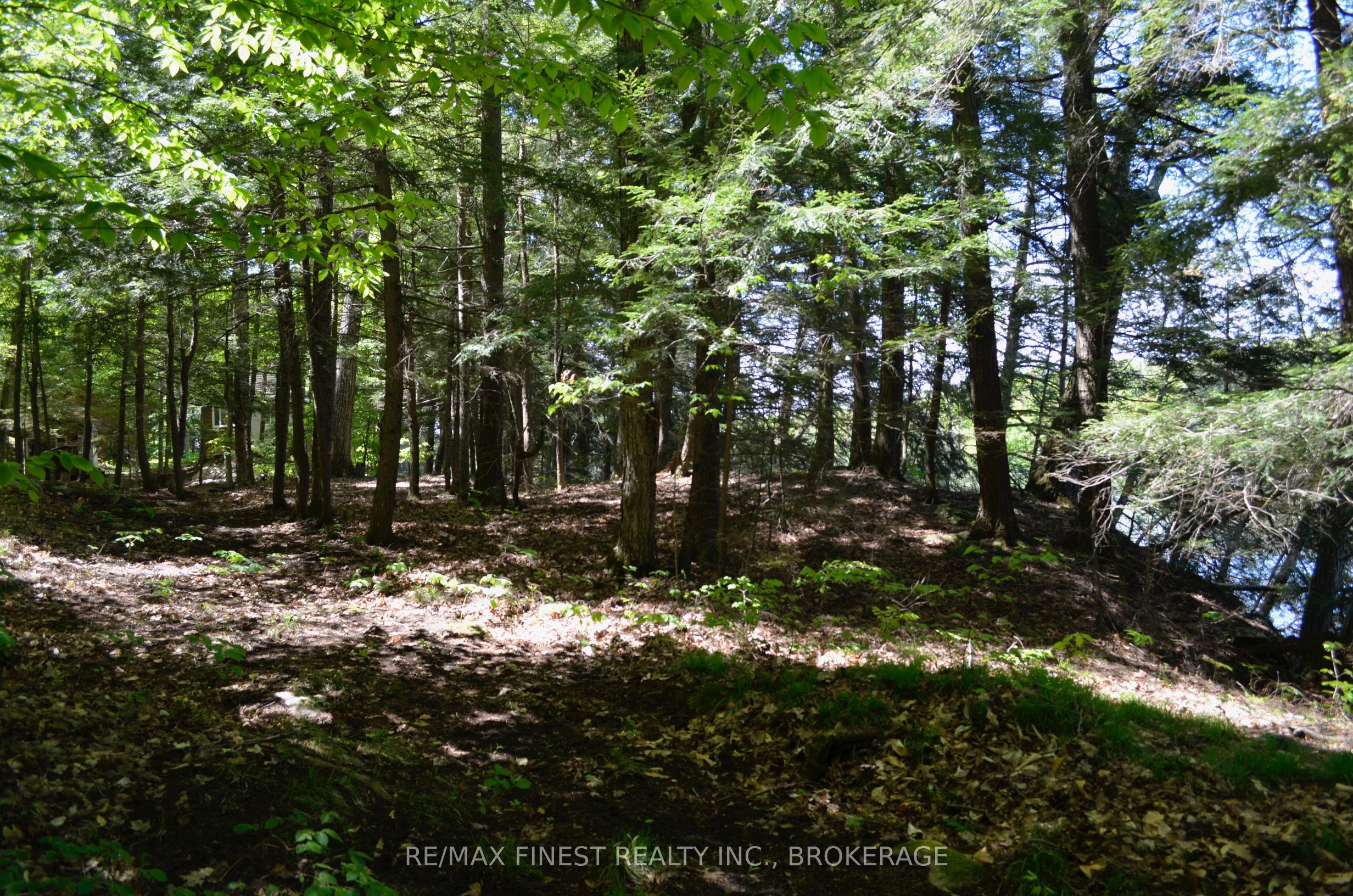 734 Sherbrooke Drive Property Photo 14