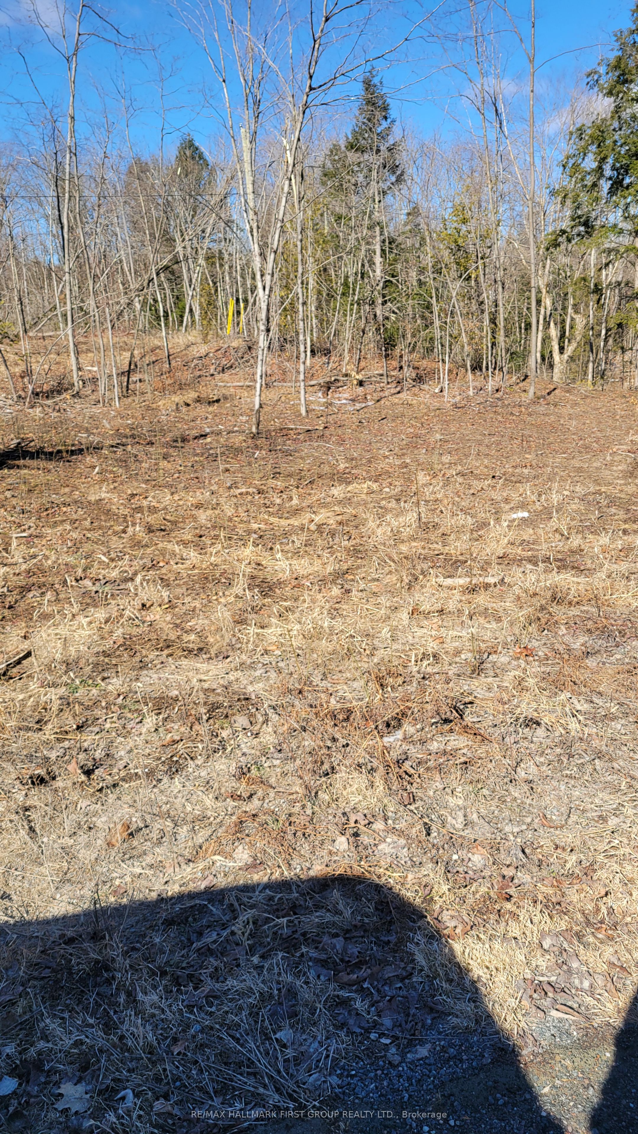 N/a Black River Road Property Photo 1