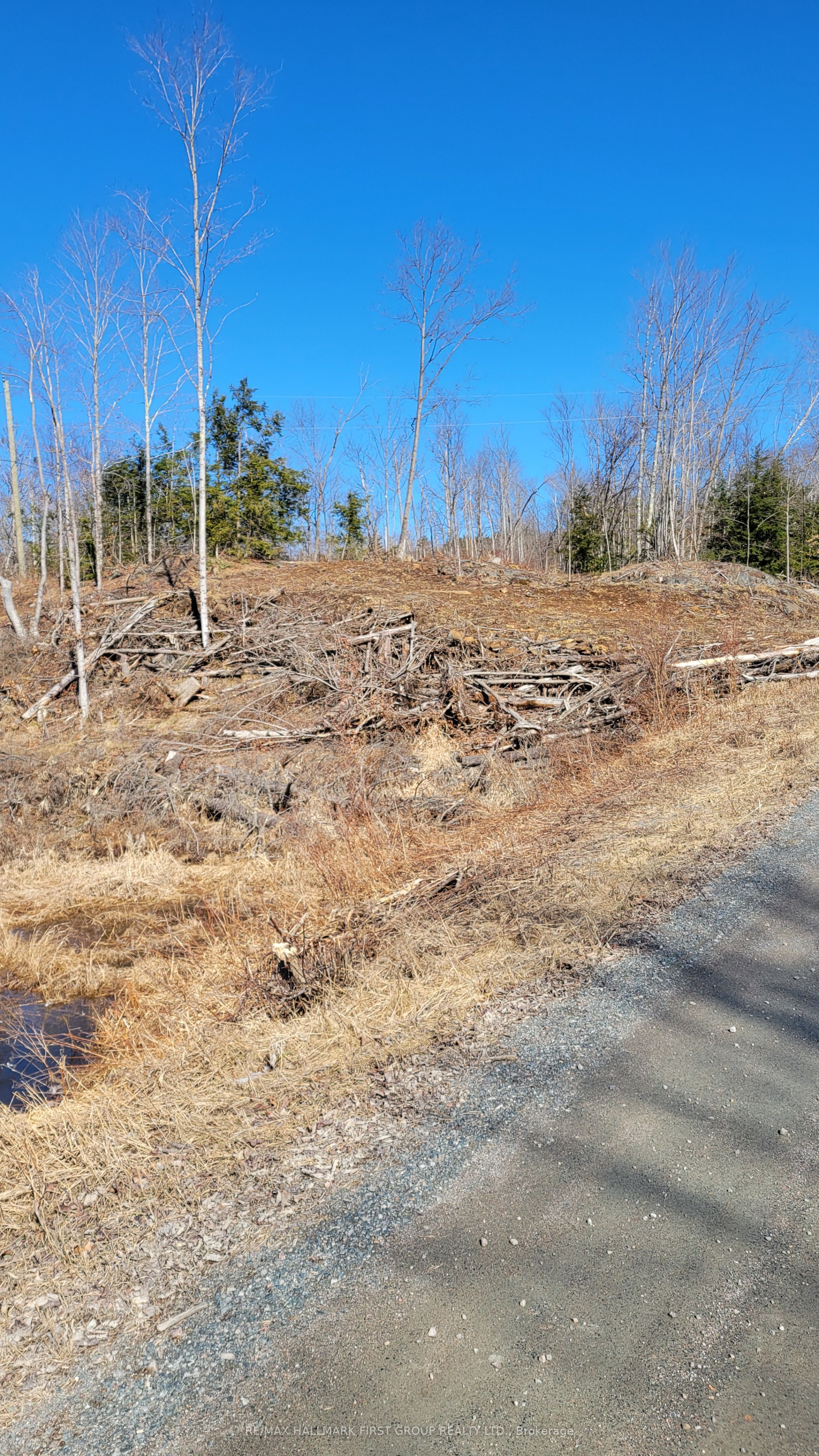 N/a Black River Road Property Photo 3